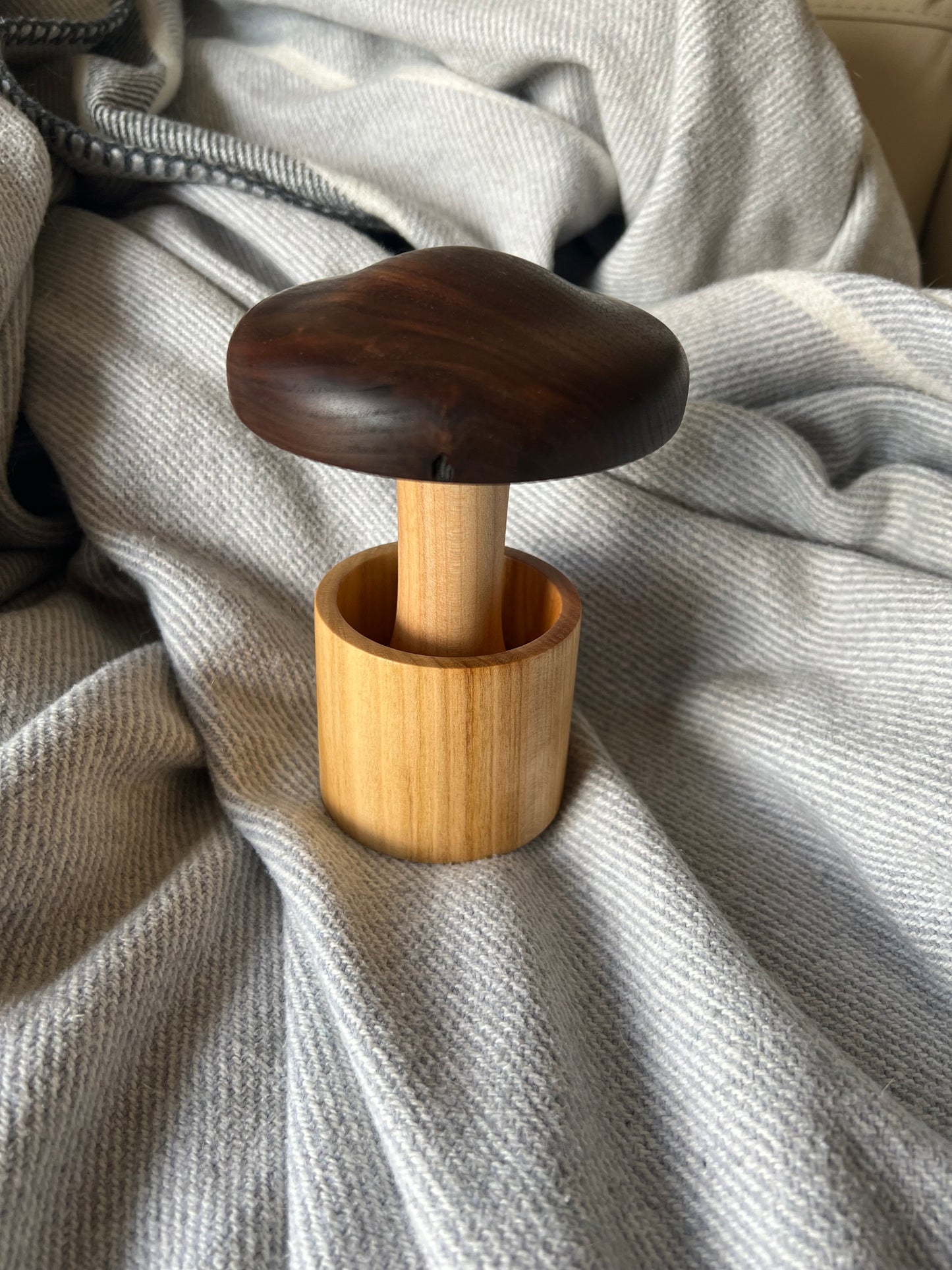 Walnut/Maple Mushroom in a Cherry Pot