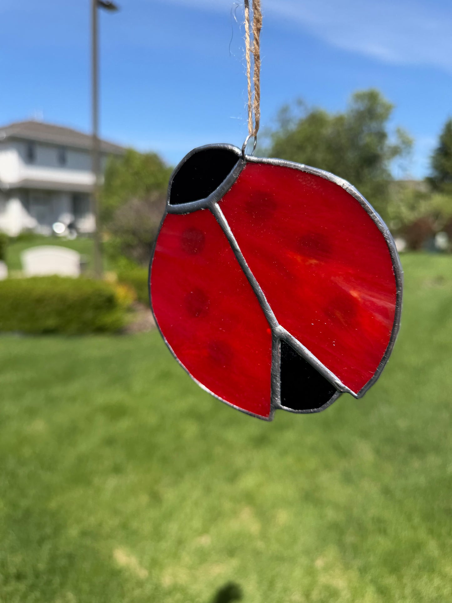 Ladybug Class @ The Glassy Gardener’s Home Studio