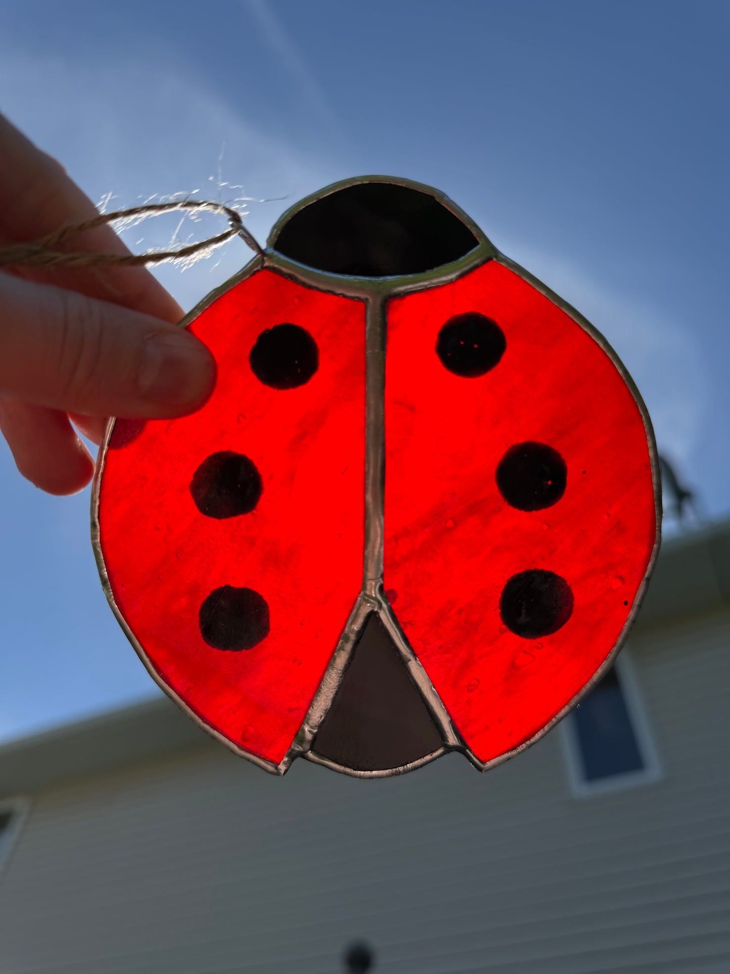 Ladybug Class @ The Glassy Gardener’s Home Studio