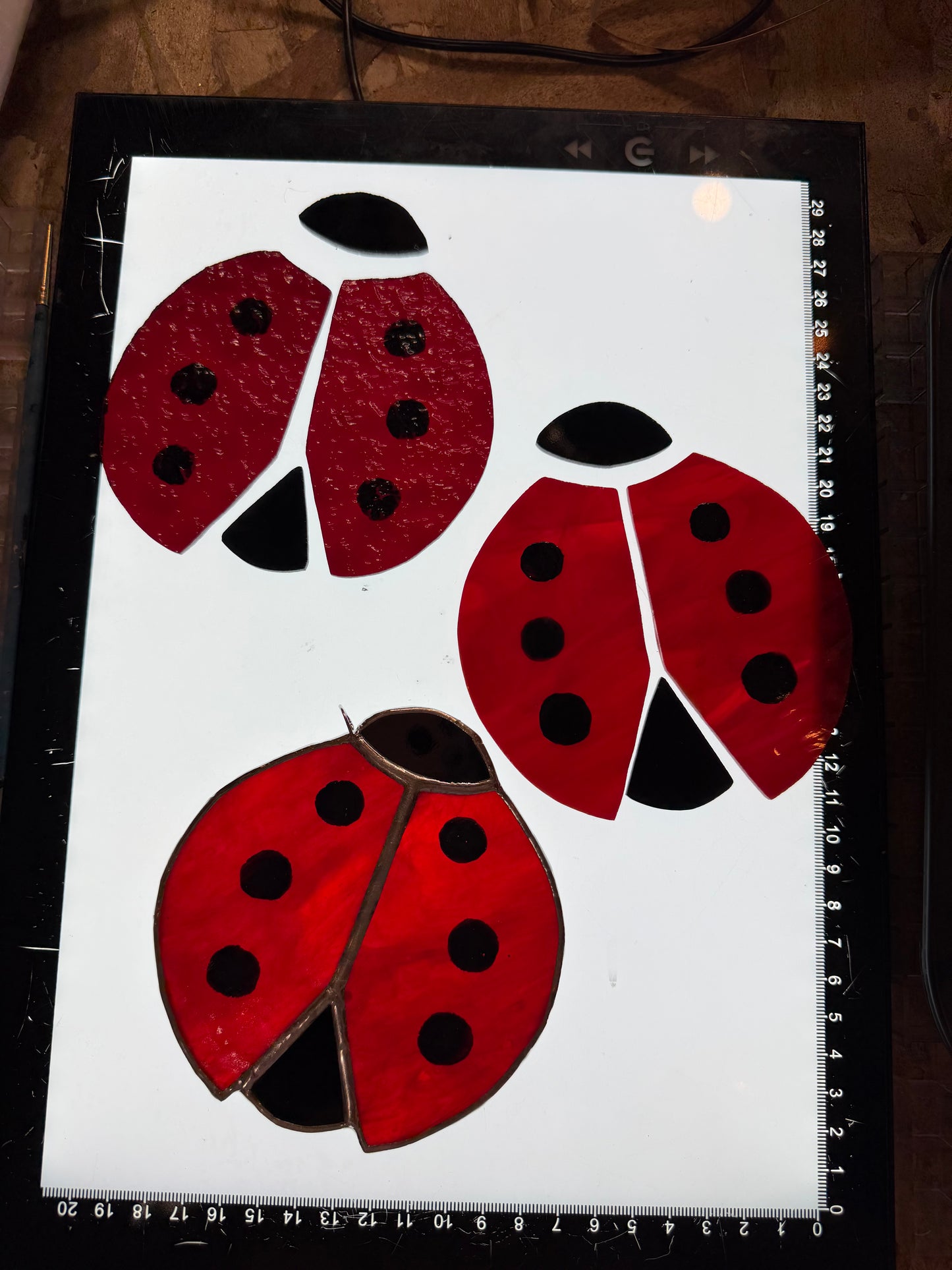 Ladybug Class @ The Glassy Gardener’s Home Studio