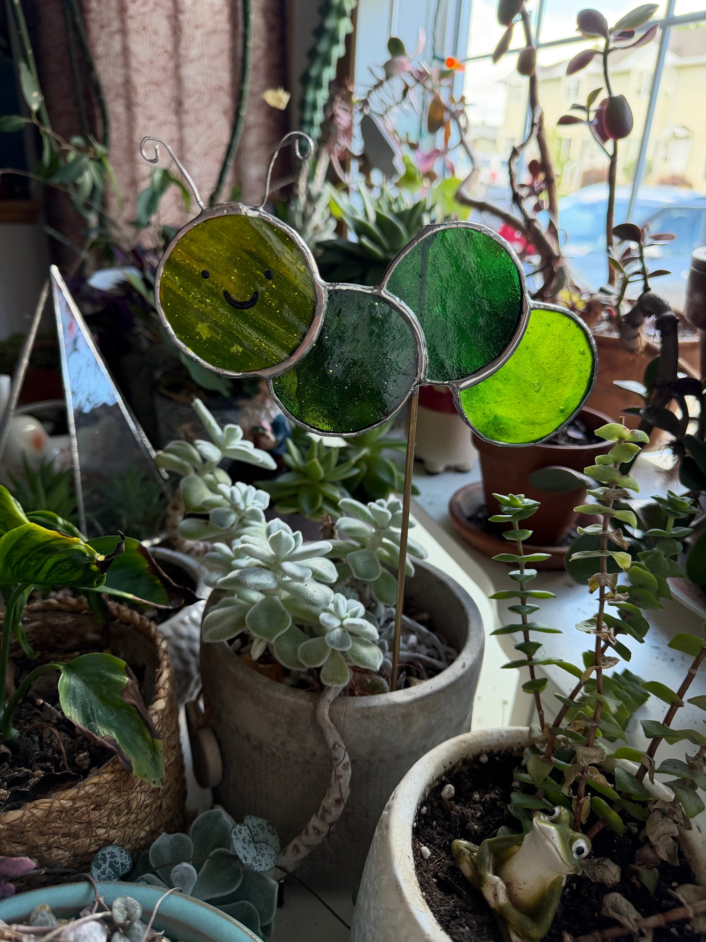 Caterpillar Class @ The Glassy Gardener’s Home Studio