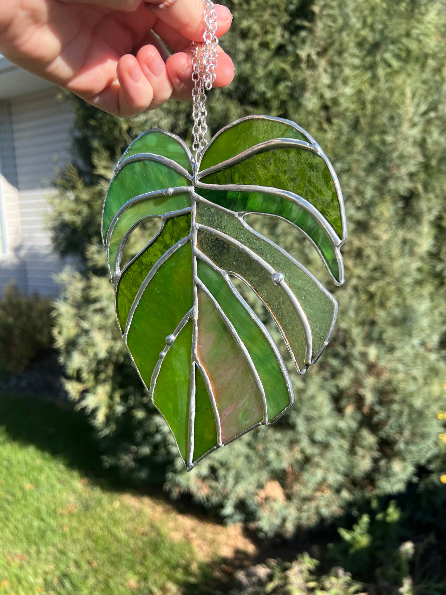 Stained Glass Monstera