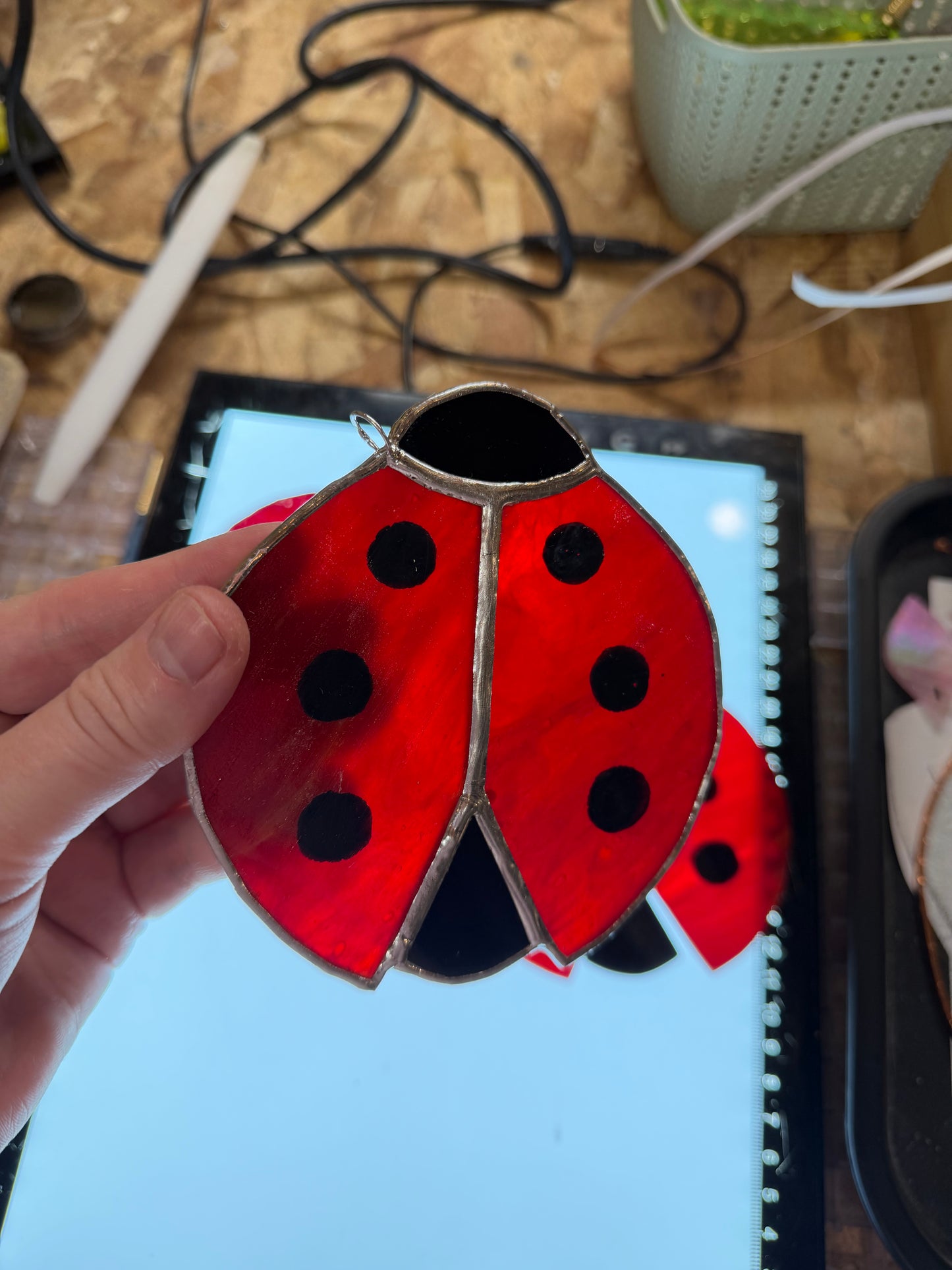 Ladybug Class @ The Glassy Gardener’s Home Studio