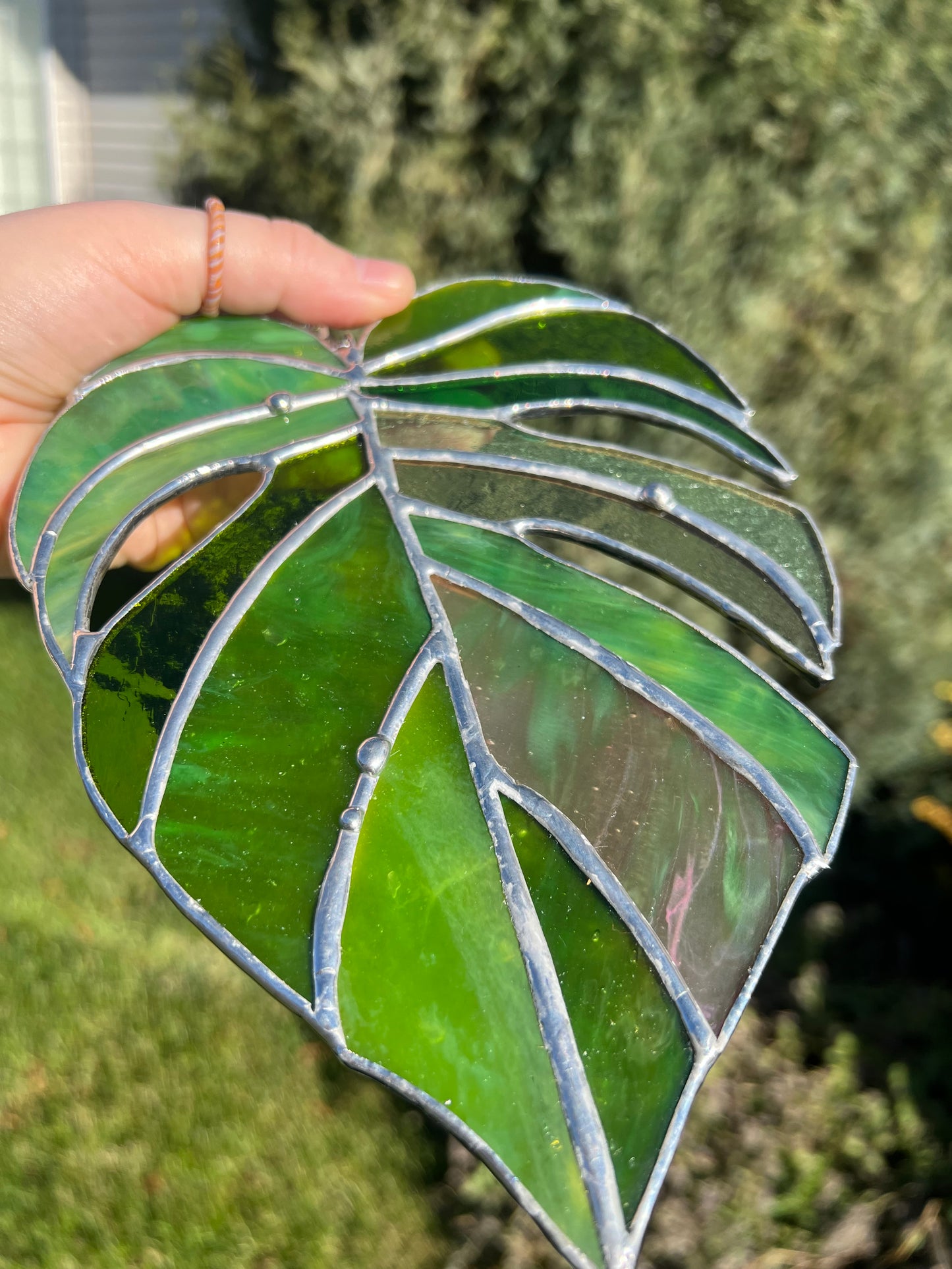 Stained Glass Monstera