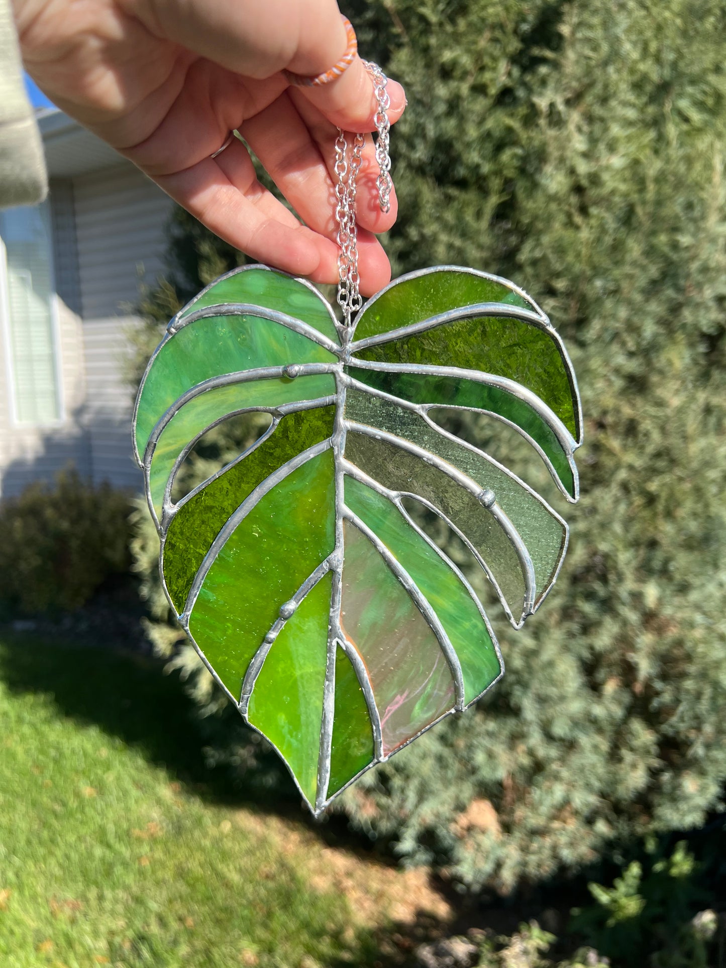 Stained Glass Monstera