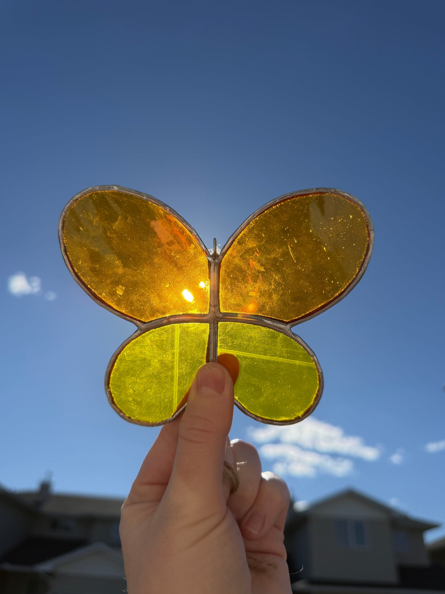 Butterfly Class @ The Glassy Gardener’s Home Studio