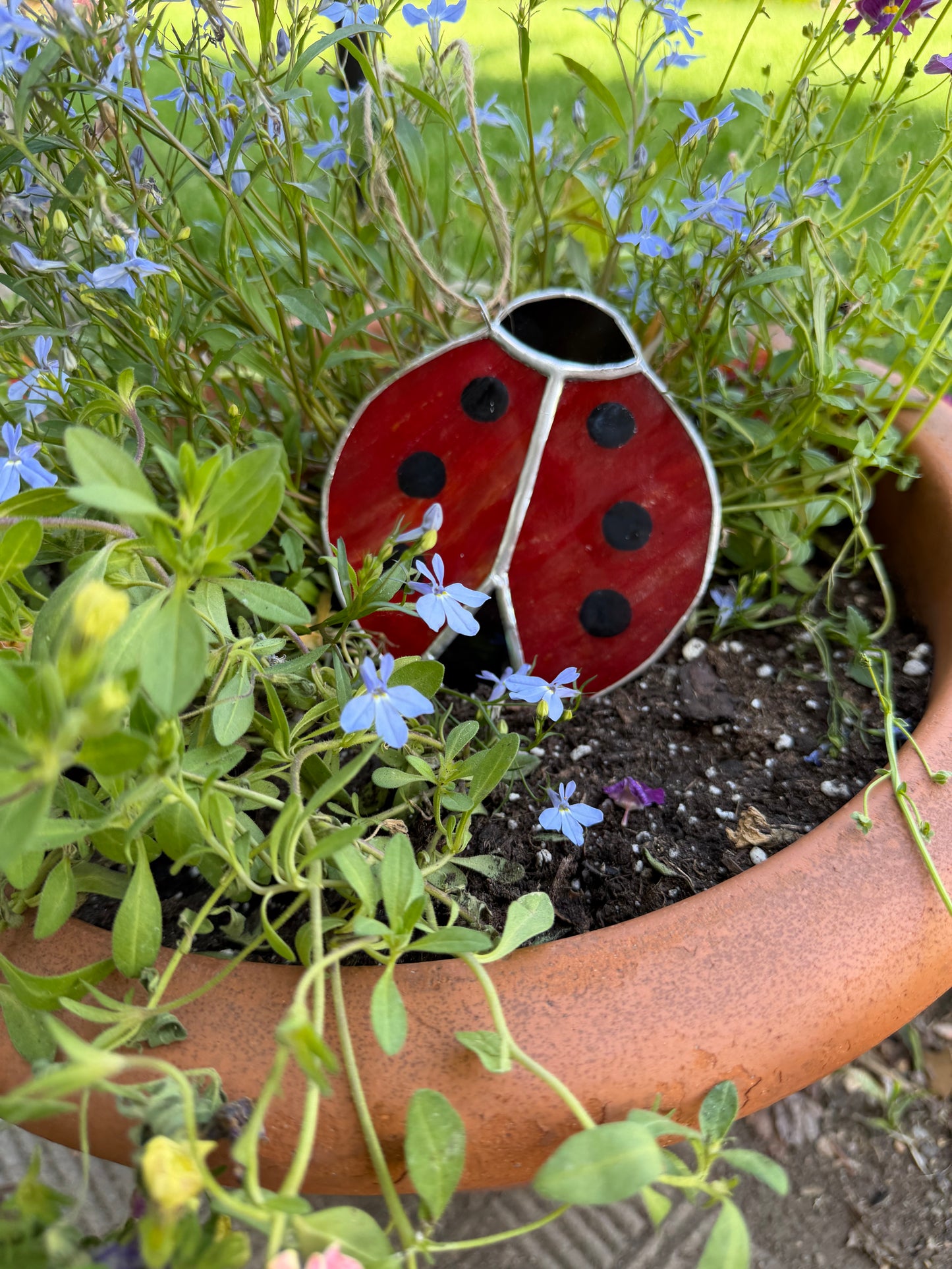 Ladybug Class @ The Glassy Gardener’s Home Studio