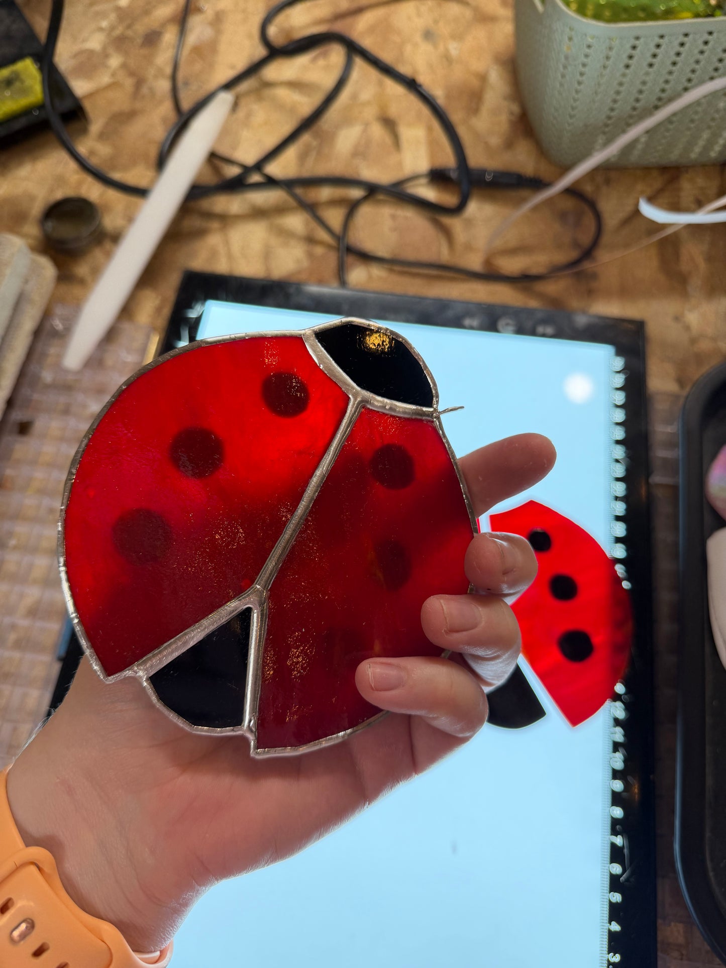 Ladybug Class @ The Glassy Gardener’s Home Studio