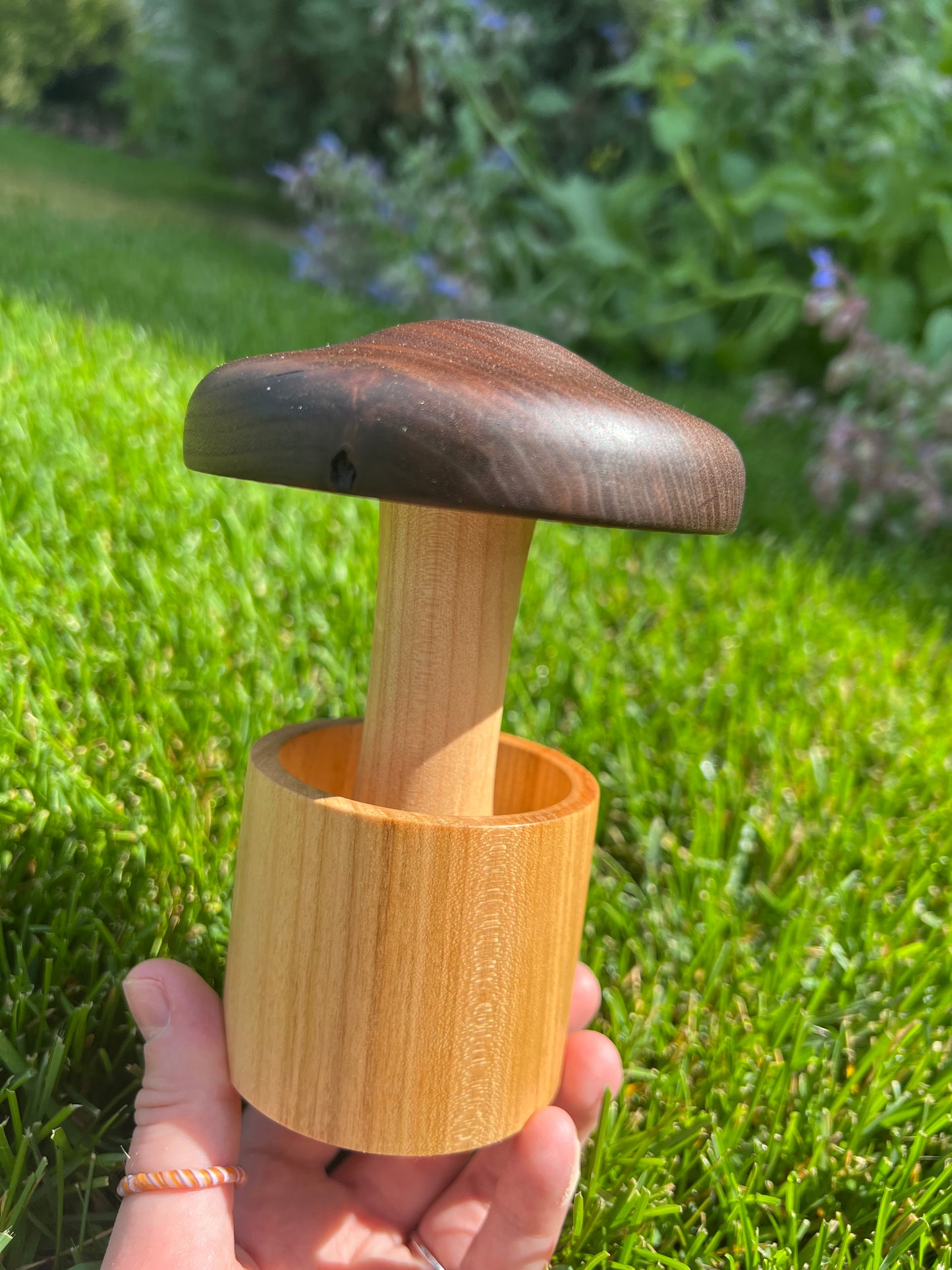 Walnut/Maple Mushroom in a Cherry Pot