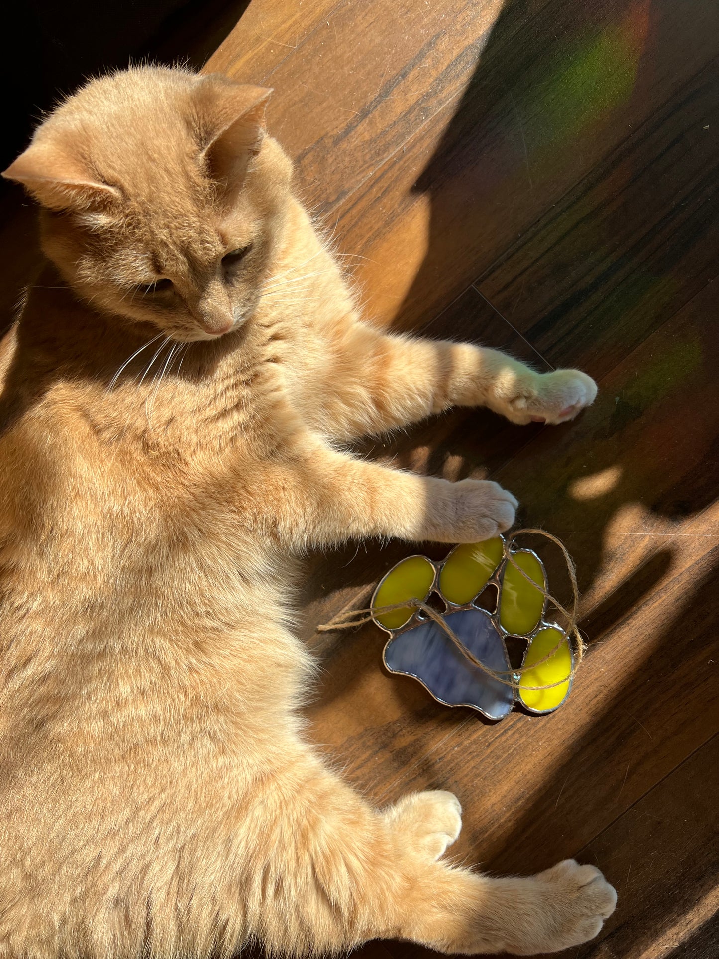 Paw Print Class @The Glassy Gardener’s Studio - fundraiser for Brittany Niemi Rescues