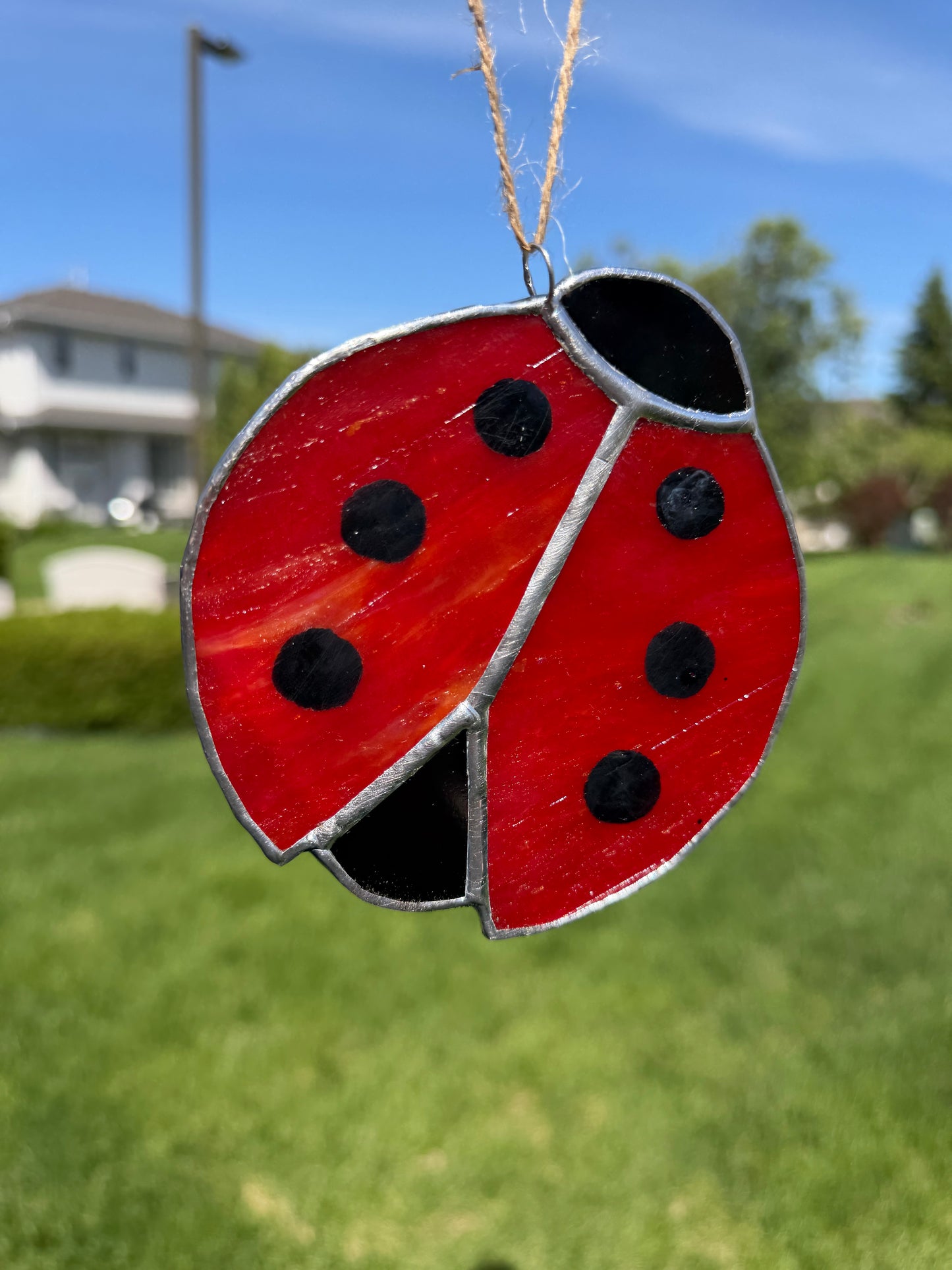 Ladybug Class @ The Glassy Gardener’s Home Studio
