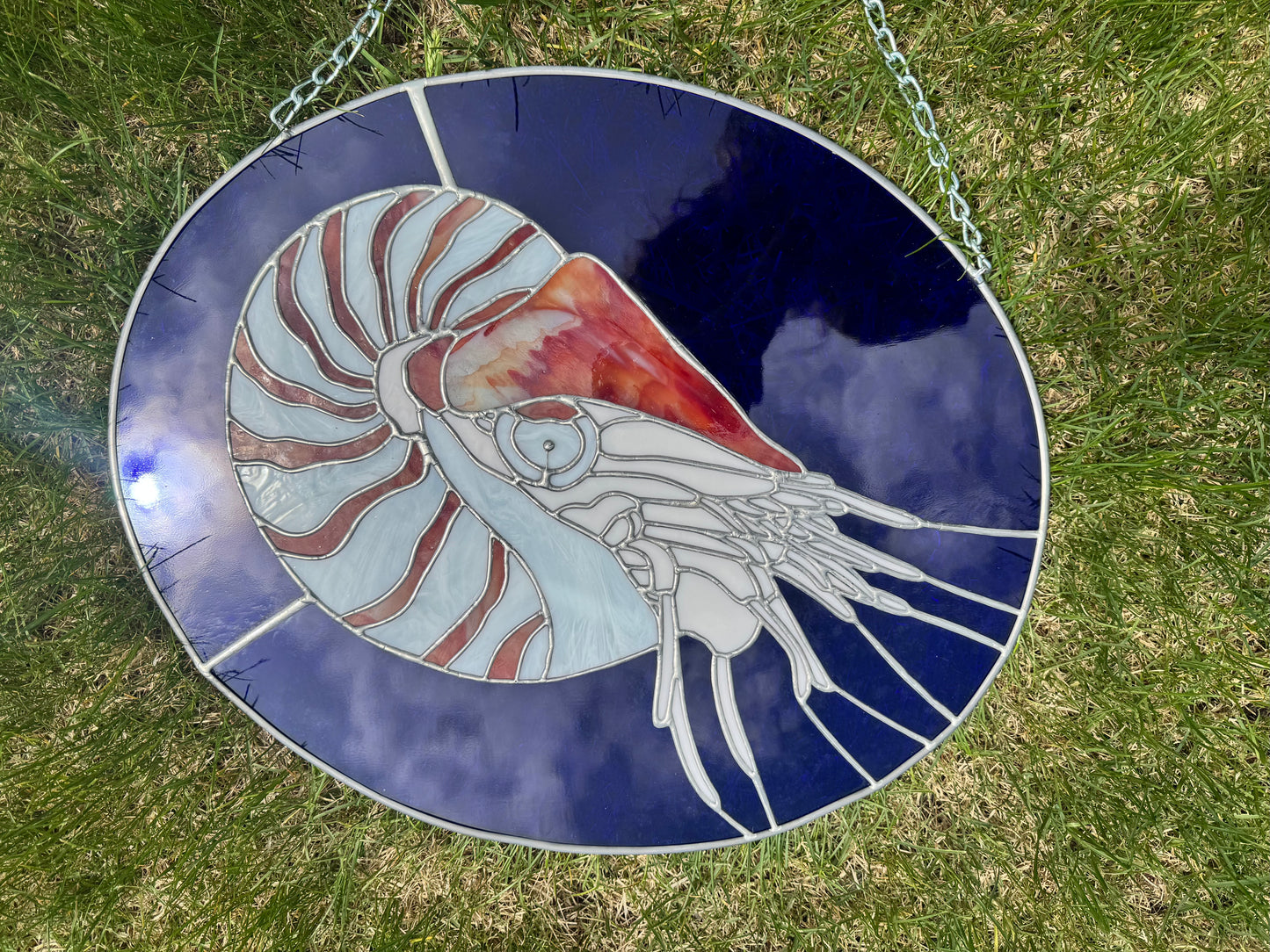 Nautilus