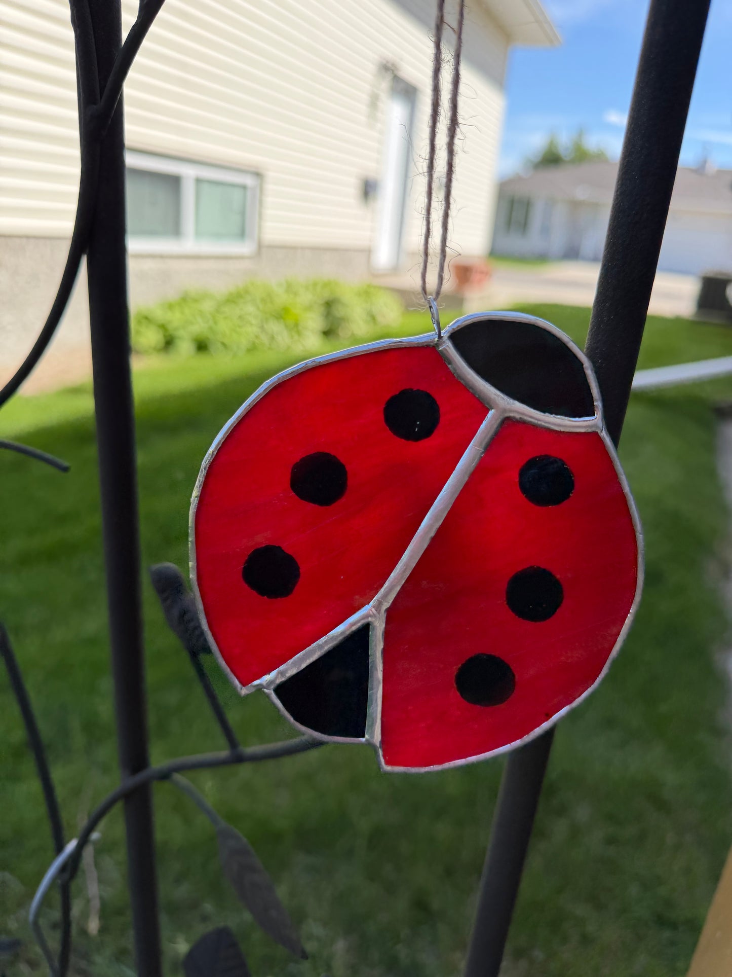 Ladybug Class @ The Glassy Gardener’s Home Studio