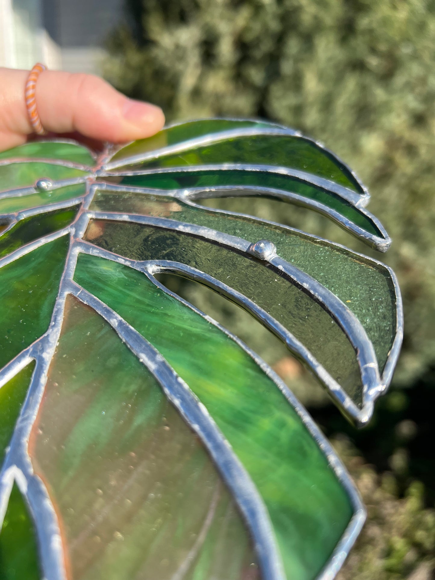 Stained Glass Monstera