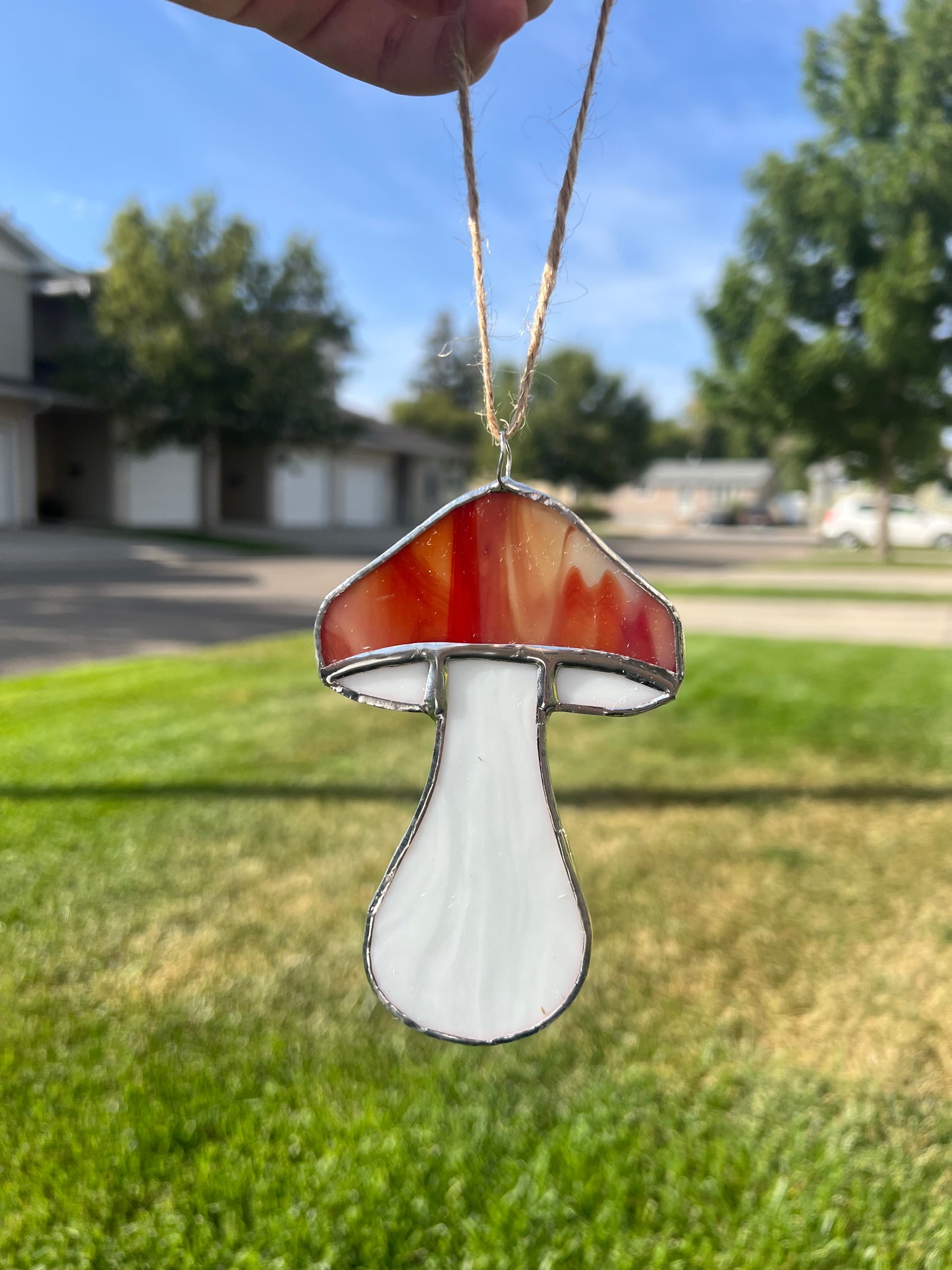 Mushroom Class @The Glassy Gardener’s Studio