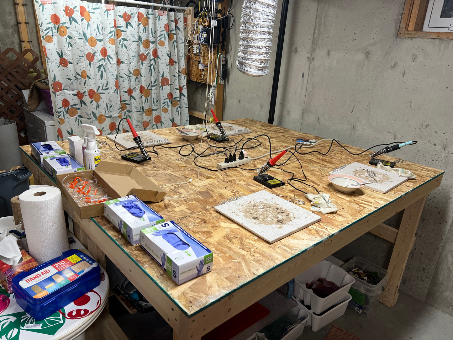 Paw Print Class @The Glassy Gardener’s Studio - fundraiser for Brittany Niemi Rescues