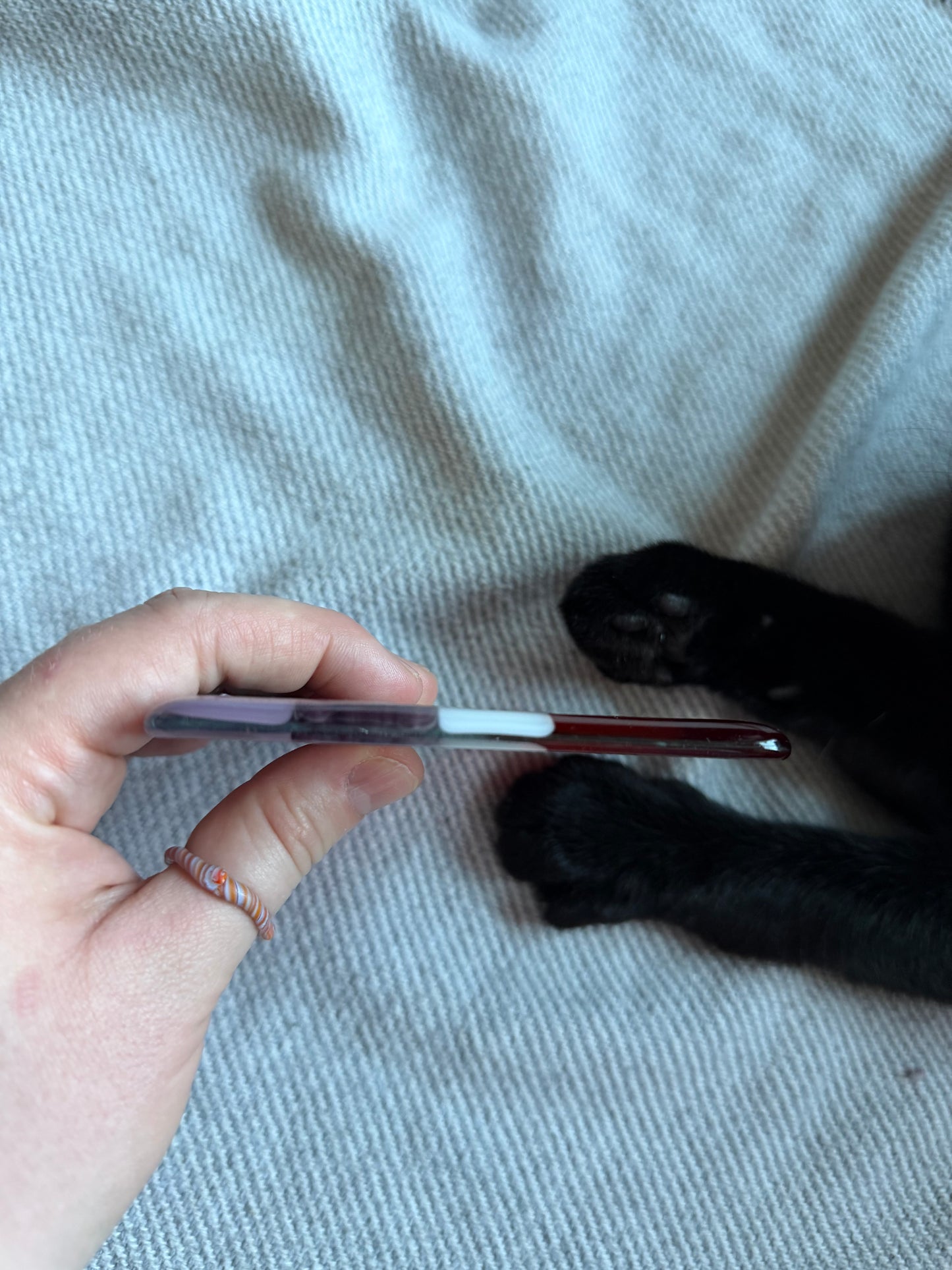 Creative Fused Glass Class @ The Glassy Gardner’s Home Studio