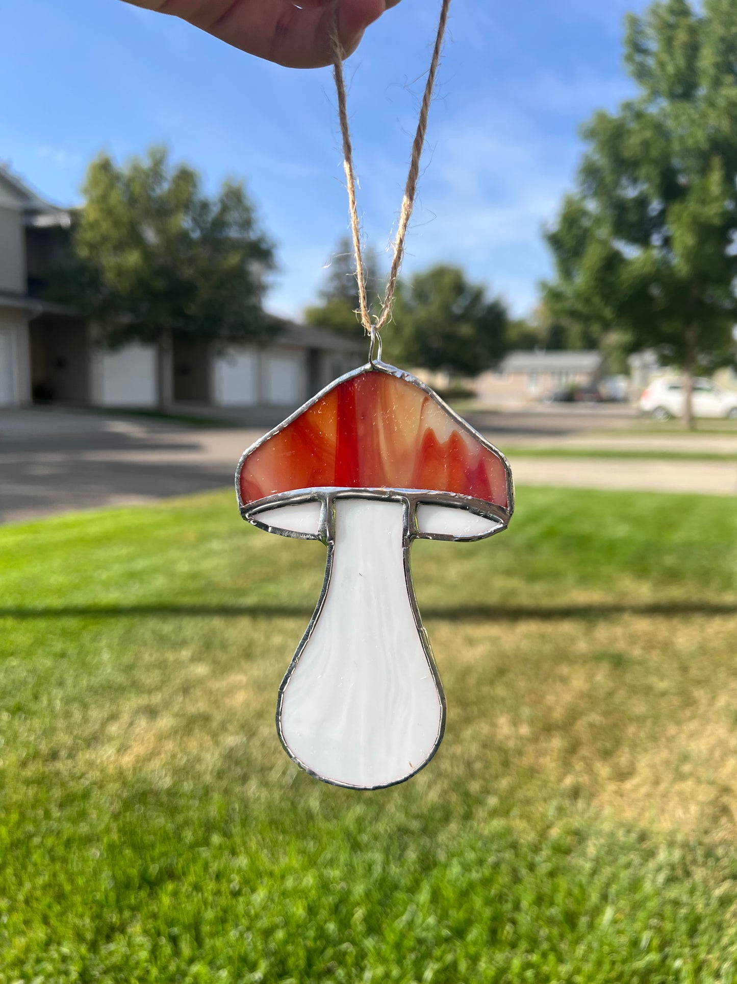 Mushroom Class @The Glassy Gardener’s Studio