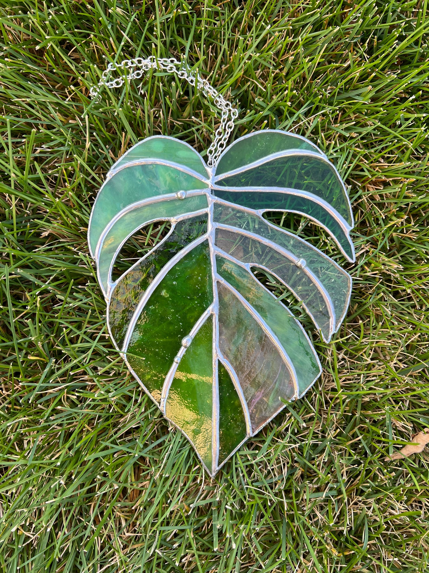 Stained Glass Monstera