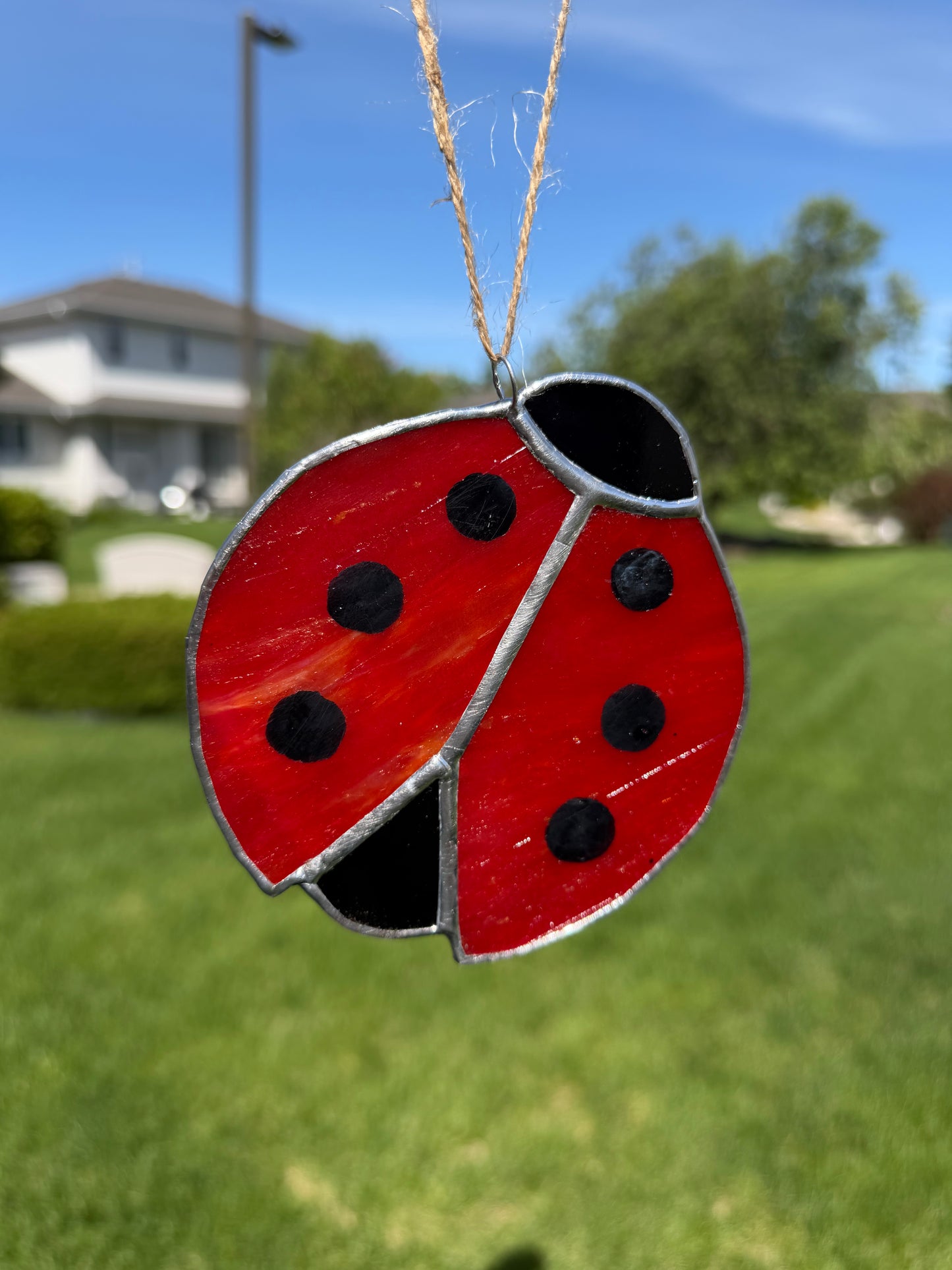 Ladybug Class @ The Glassy Gardener’s Home Studio