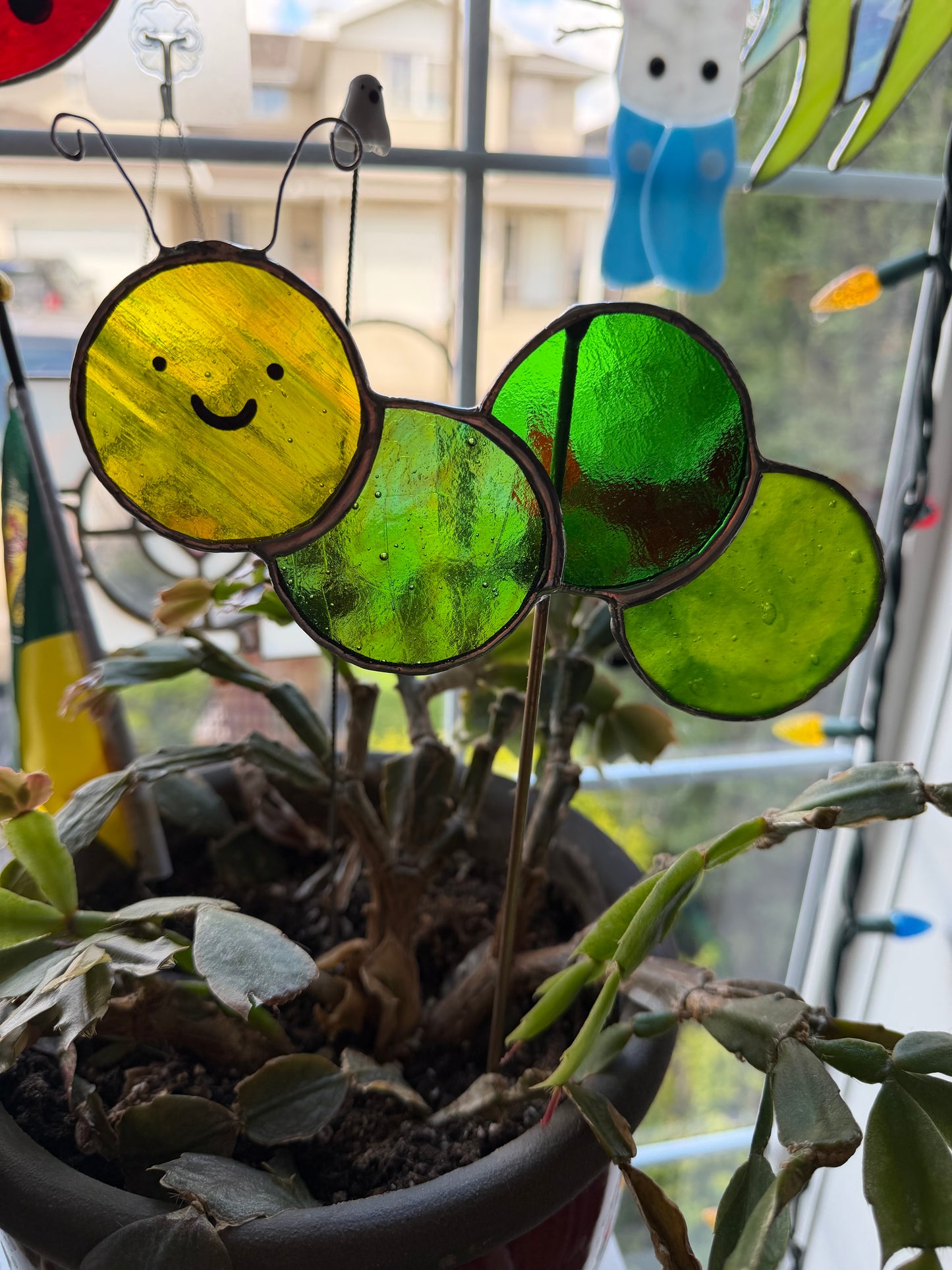 Caterpillar Class @ The Glassy Gardener’s Home Studio