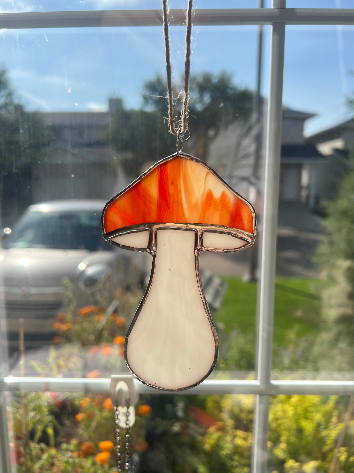 Mushroom Class @The Glassy Gardener’s Studio