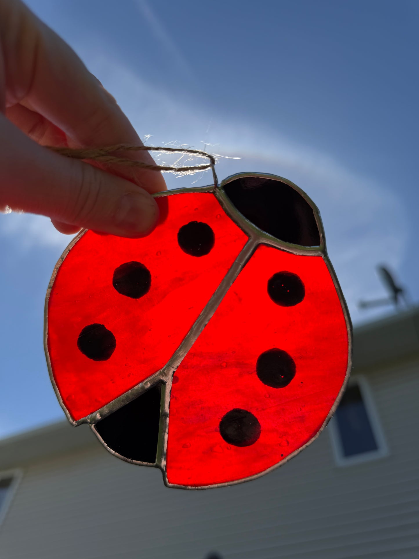 Ladybug Class @ The Glassy Gardener’s Home Studio