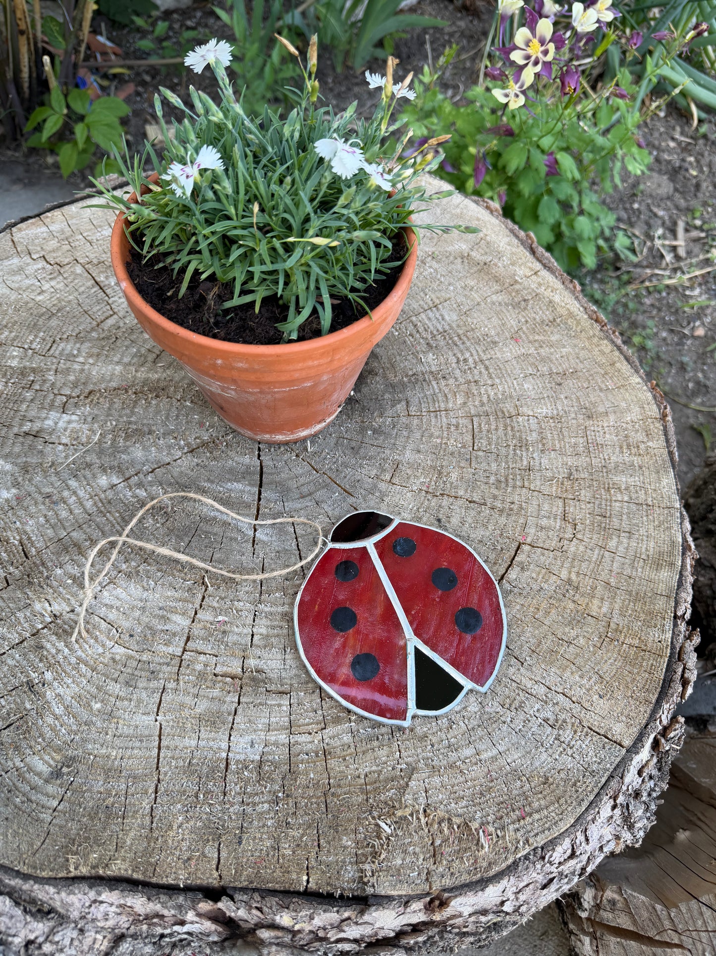 Ladybug Class @ The Glassy Gardener’s Home Studio