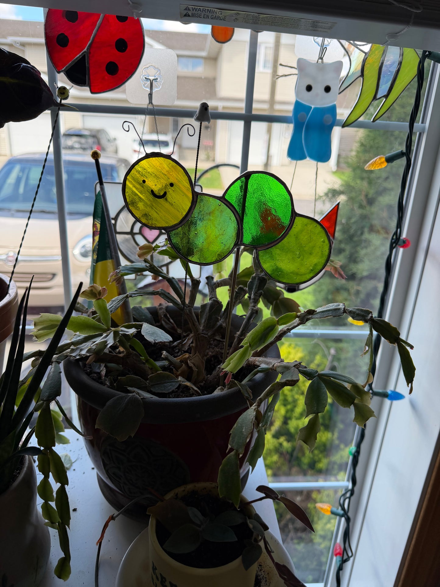 Caterpillar Class @ The Glassy Gardener’s Home Studio