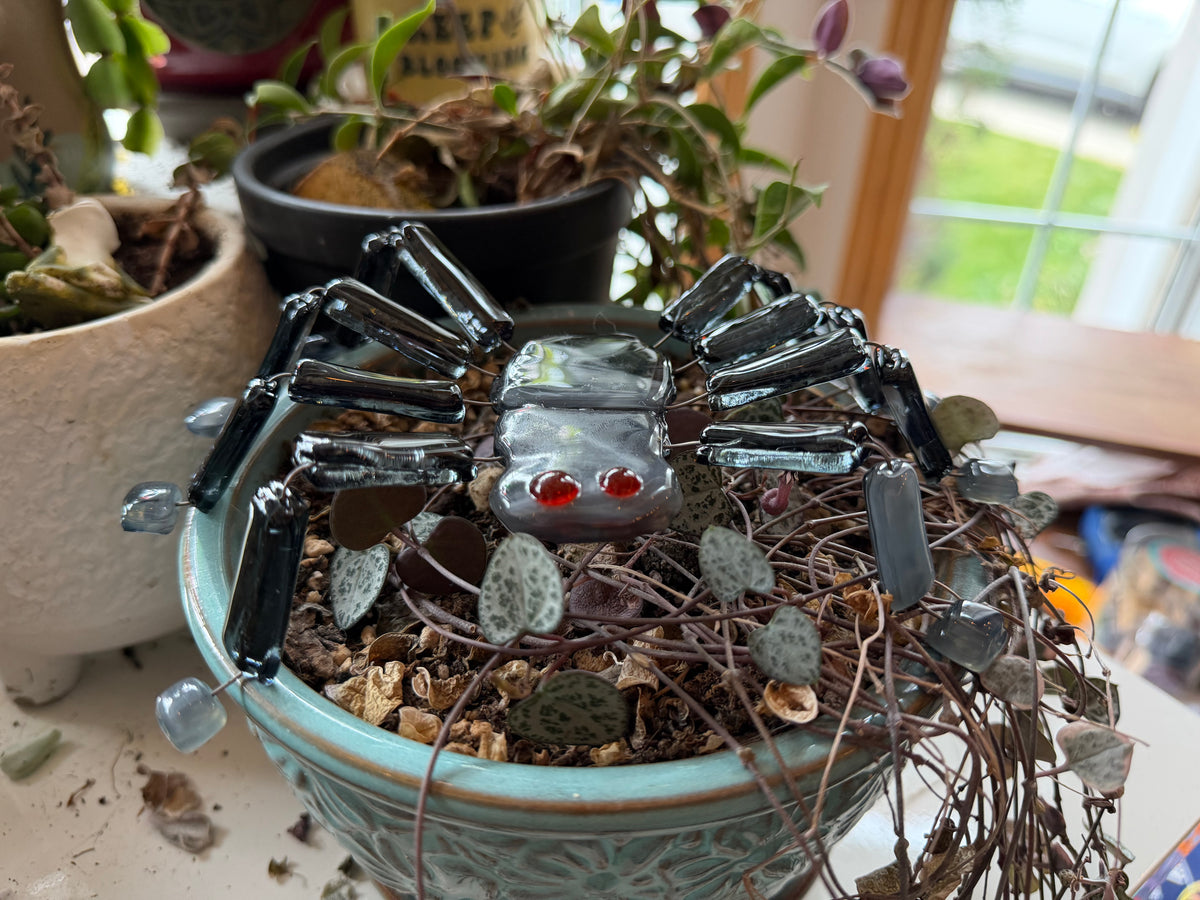 Fused Glass Spider Class @The Glassy Gardener’s Studio
