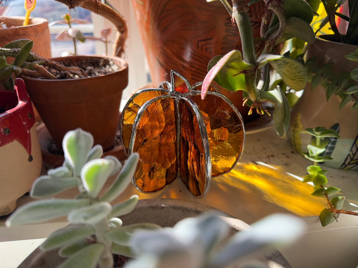 3D Pumpkin Class @The Glassy Gardener’s Studio