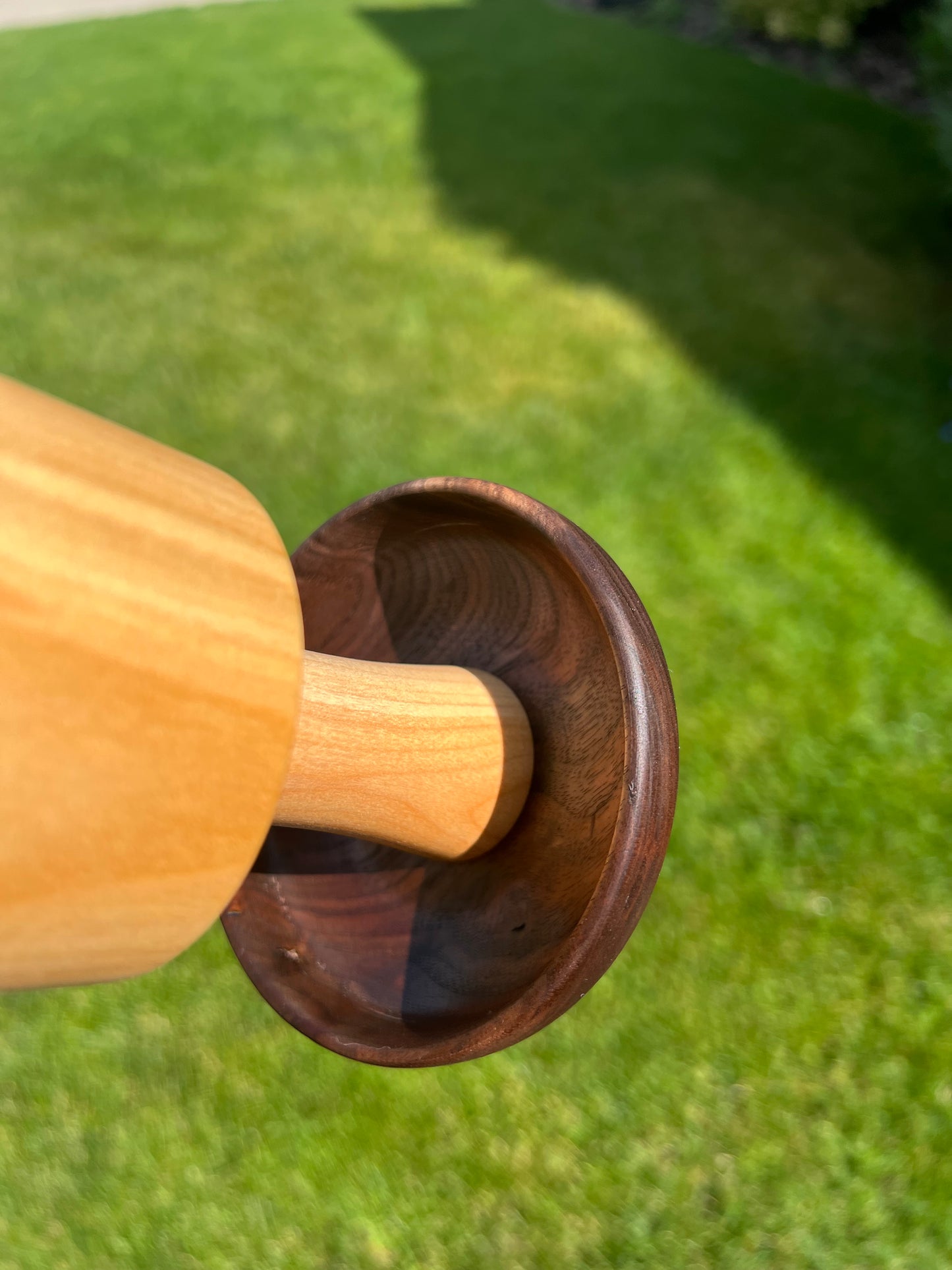 Walnut/Maple Mushroom in a Cherry Pot