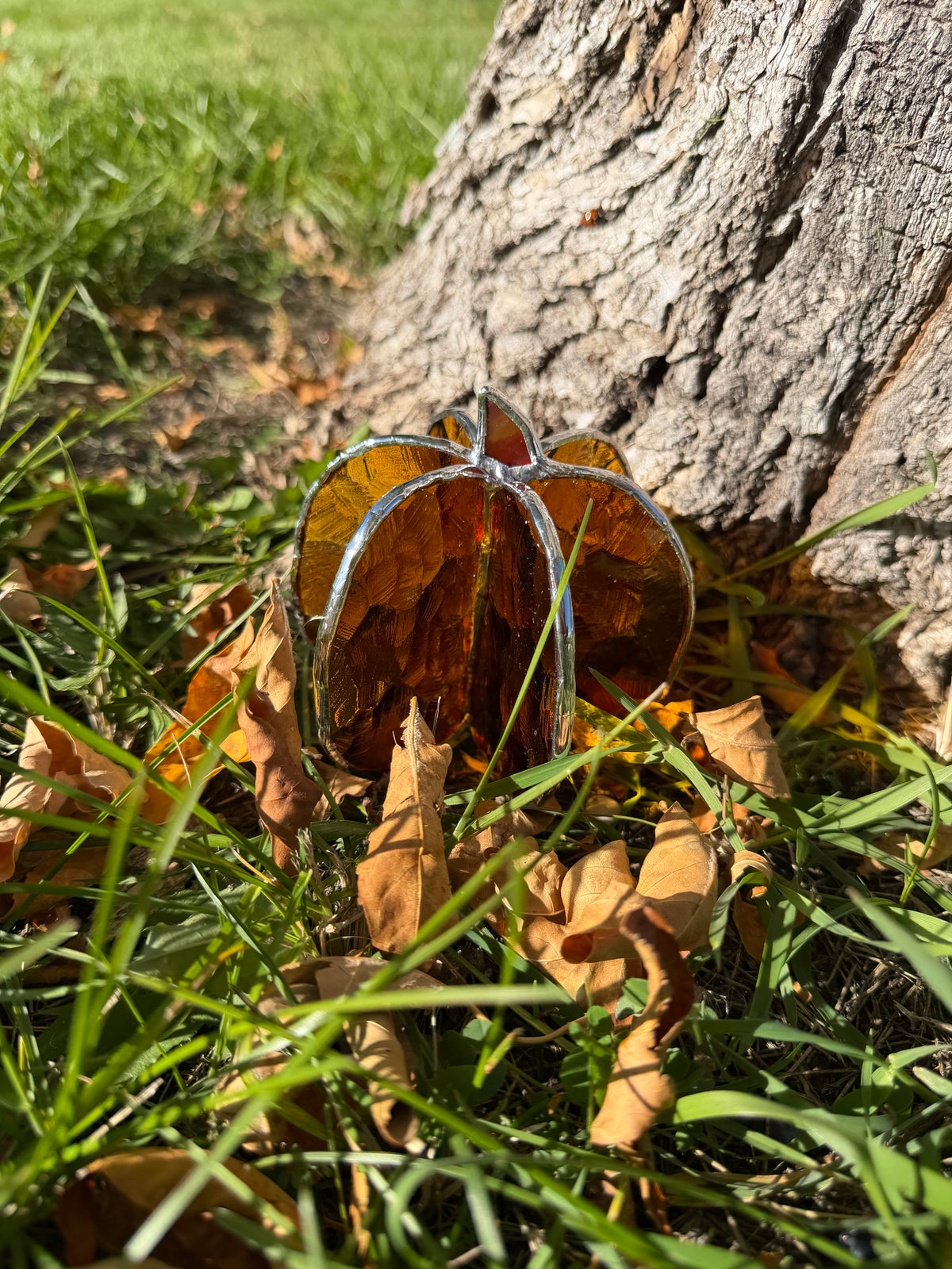 3D Pumpkin Class @The Glassy Gardener’s Studio