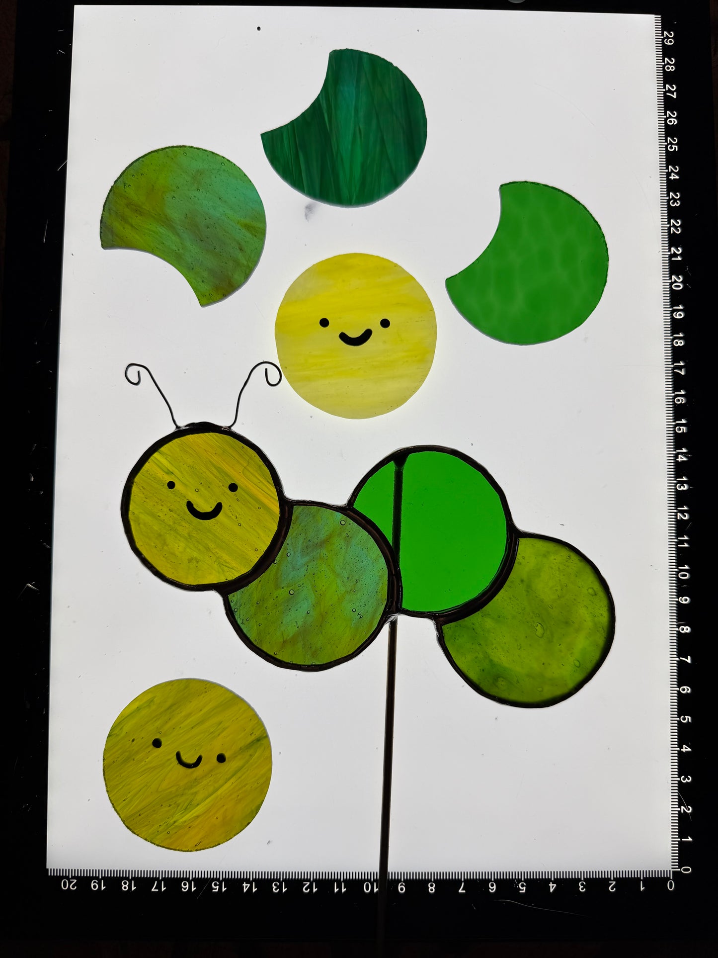Caterpillar Class @ The Glassy Gardener’s Home Studio