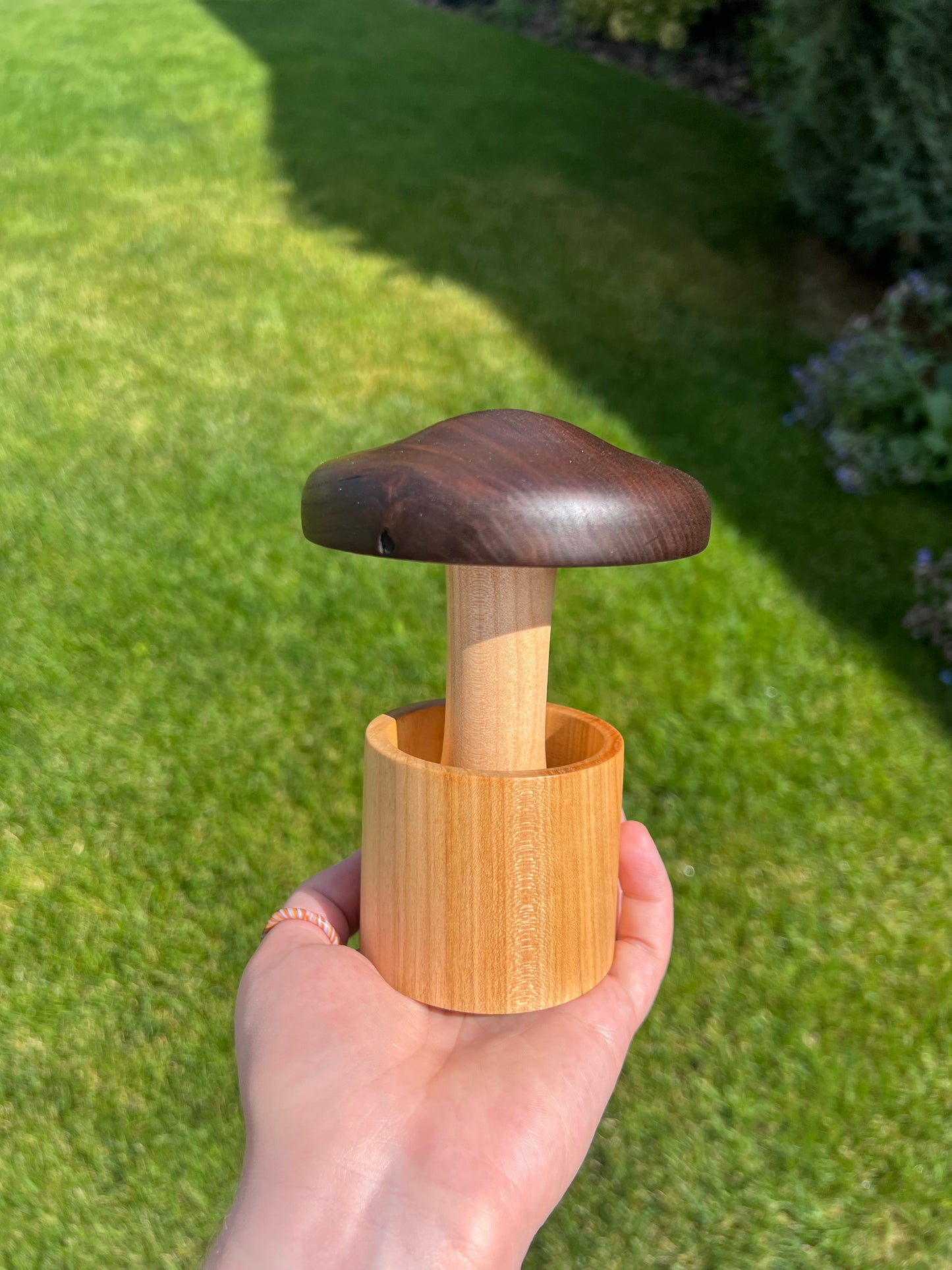 Walnut/Maple Mushroom in a Cherry Pot