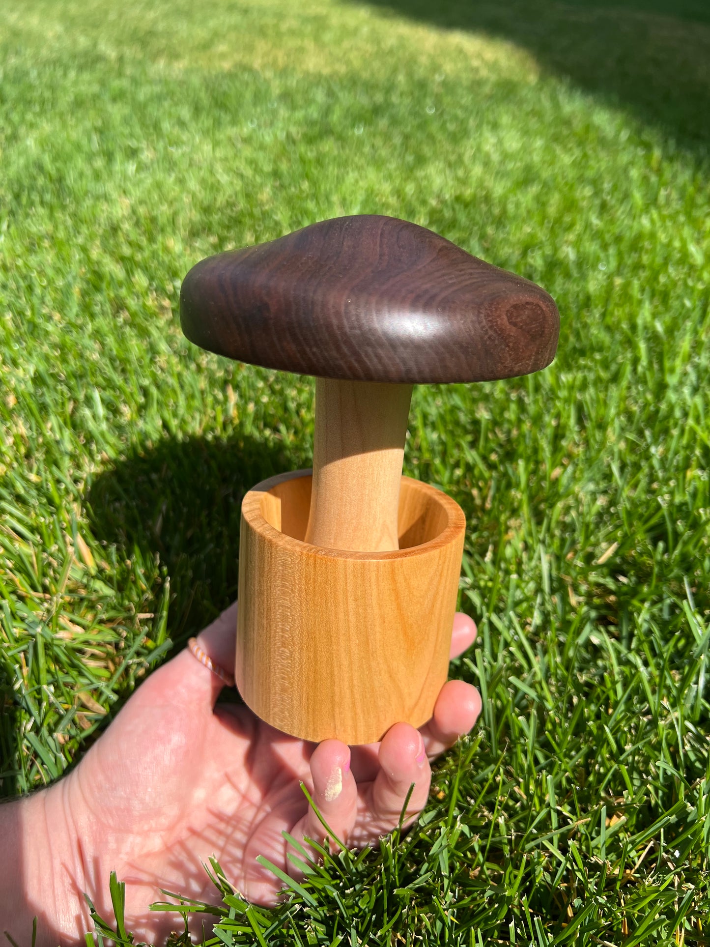 Walnut/Maple Mushroom in a Cherry Pot