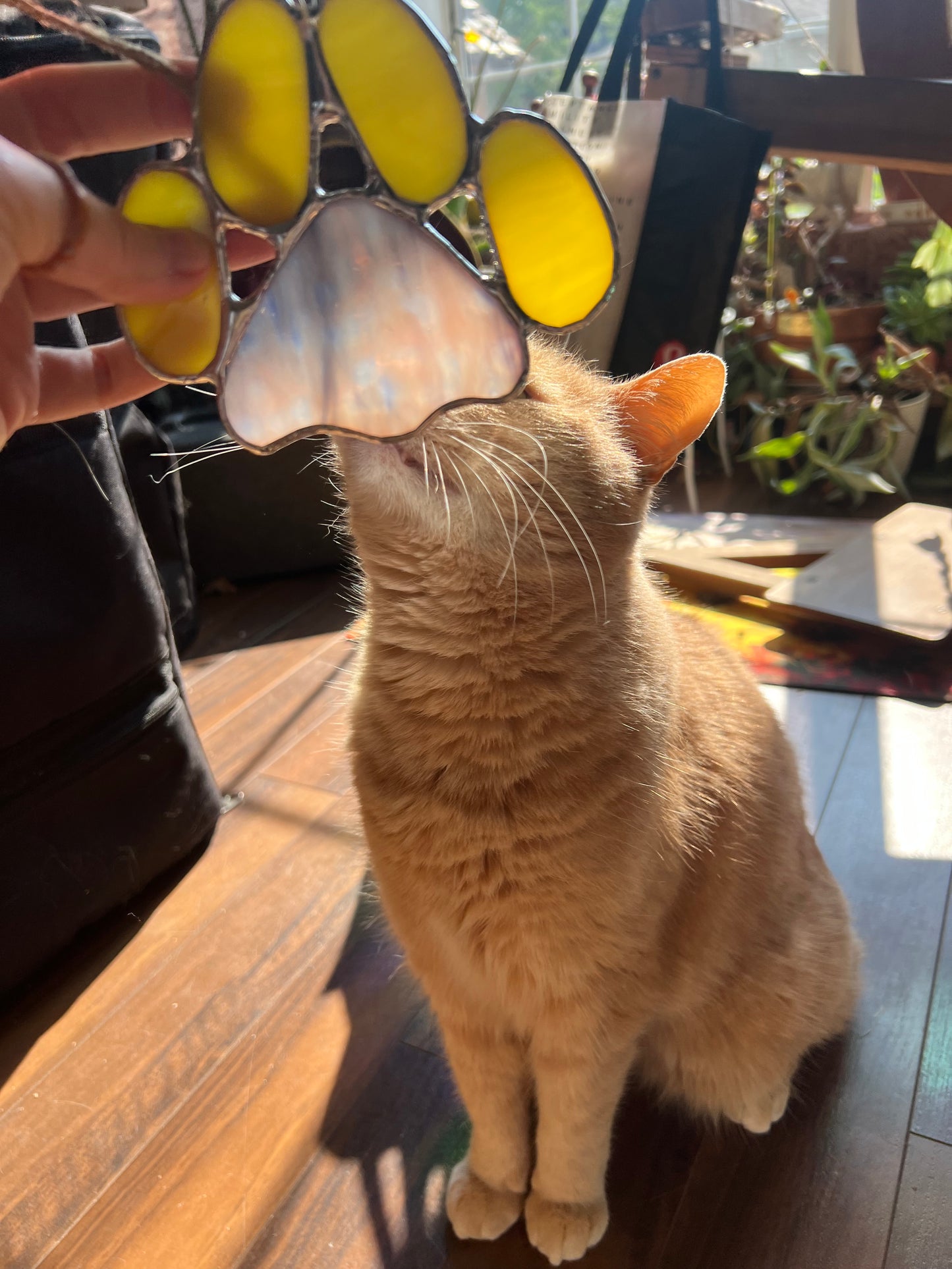 Paw Print Class @The Glassy Gardener’s Studio - fundraiser for Brittany Niemi Rescues