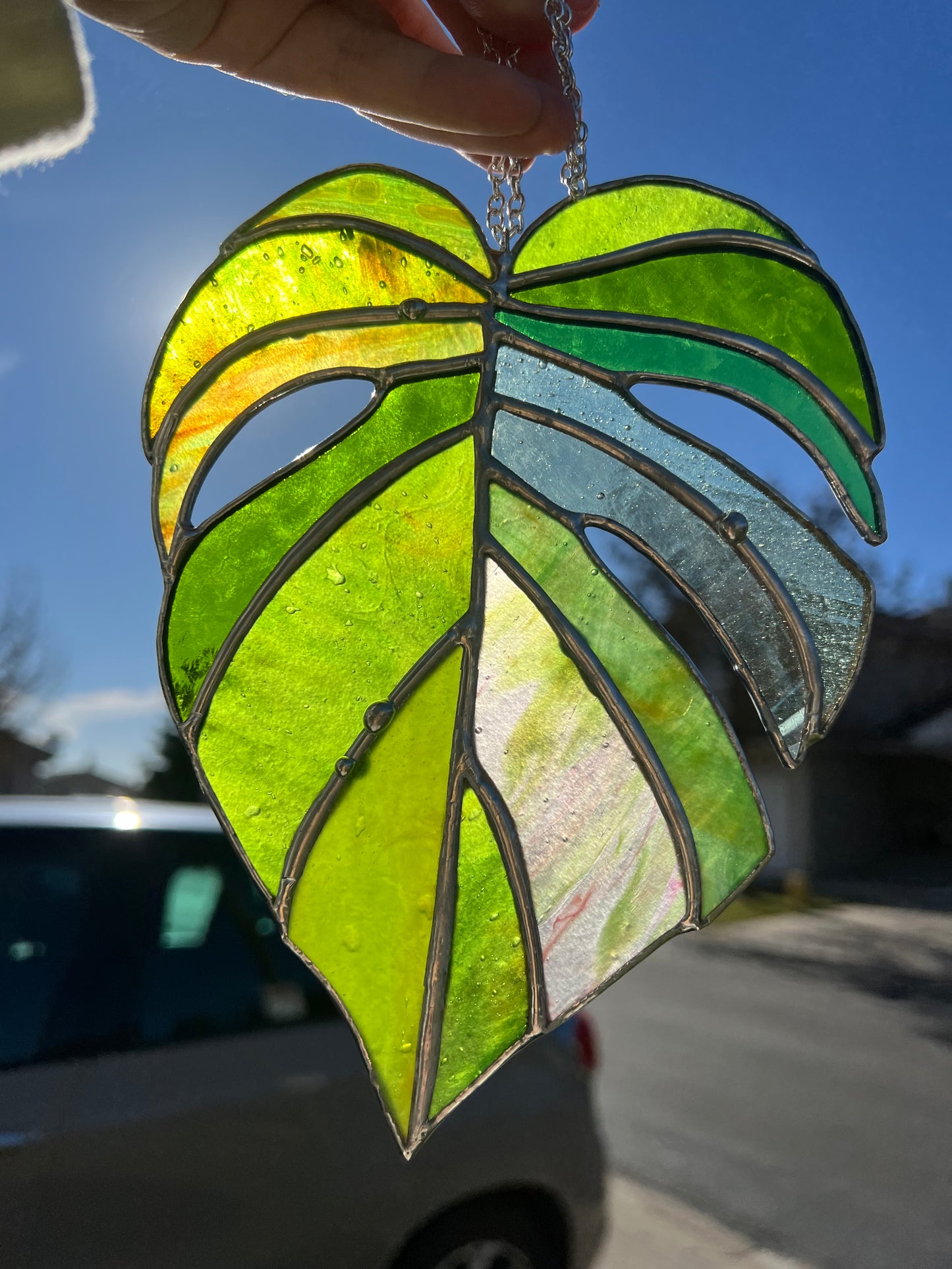 Stained Glass Monstera