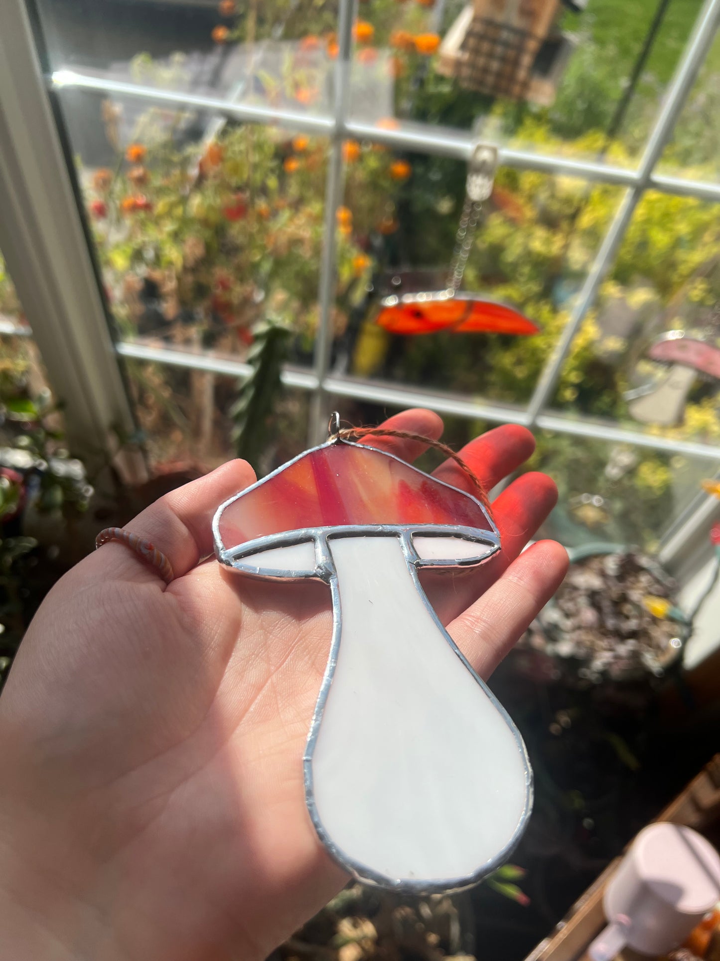 Mushroom Class @The Glassy Gardener’s Studio