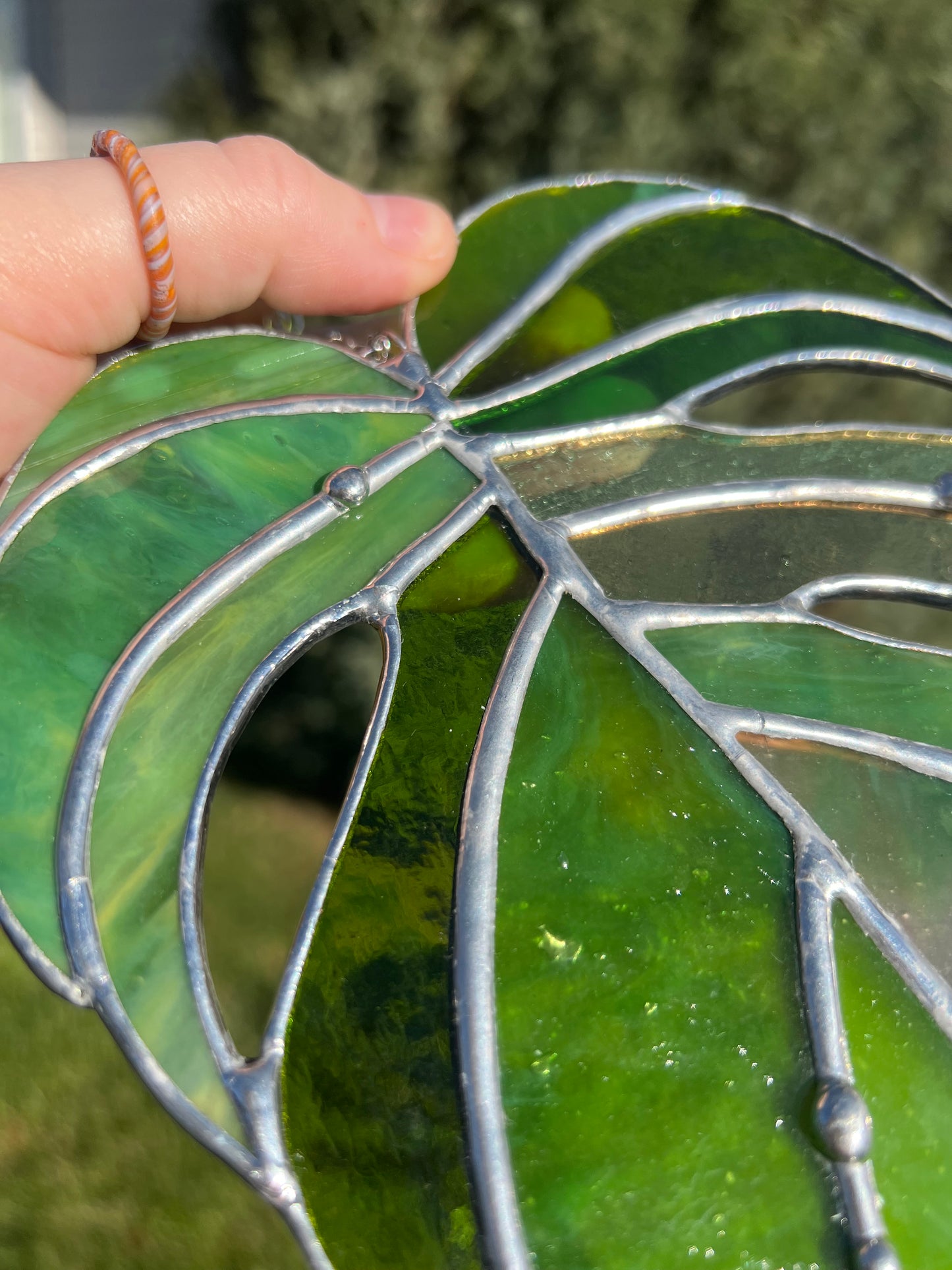 Stained Glass Monstera