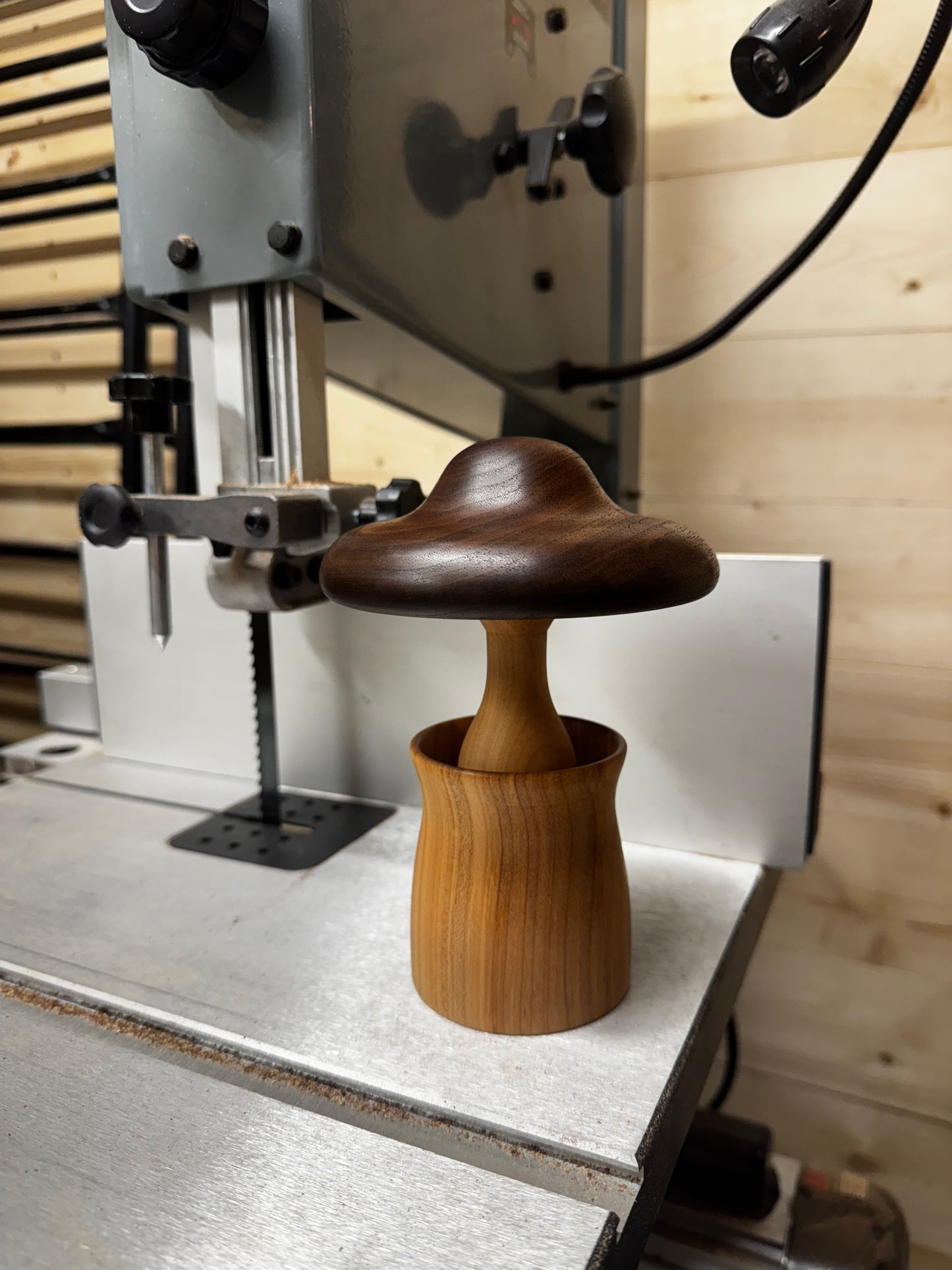 Maple/Walnut Mushroom in a Cherry Pot