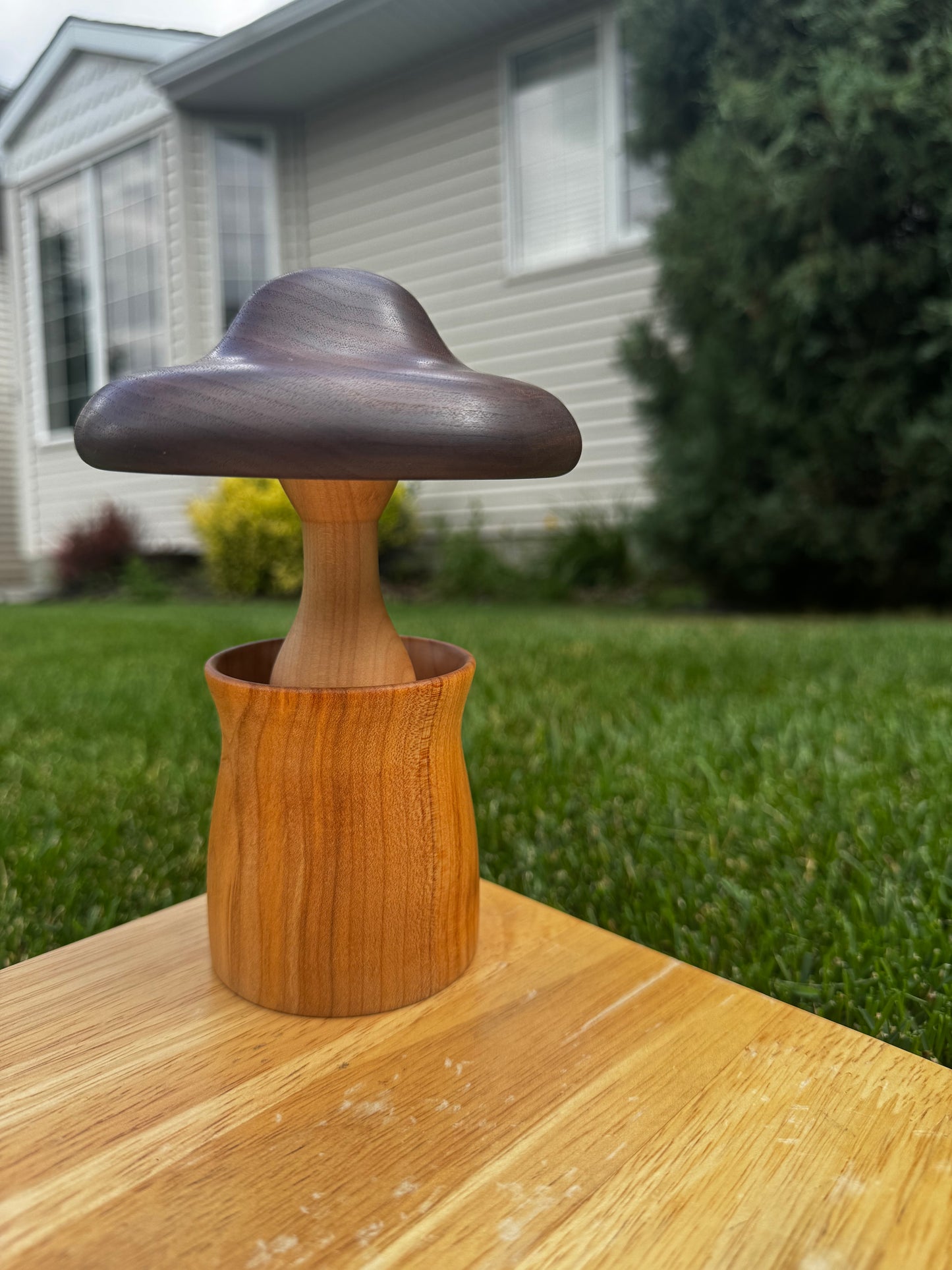 Maple/Walnut Mushroom in a Cherry Pot