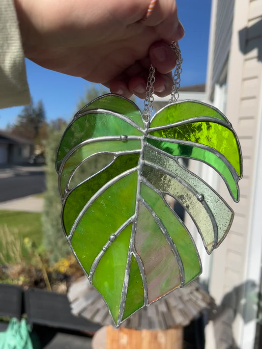 Stained Glass Monstera